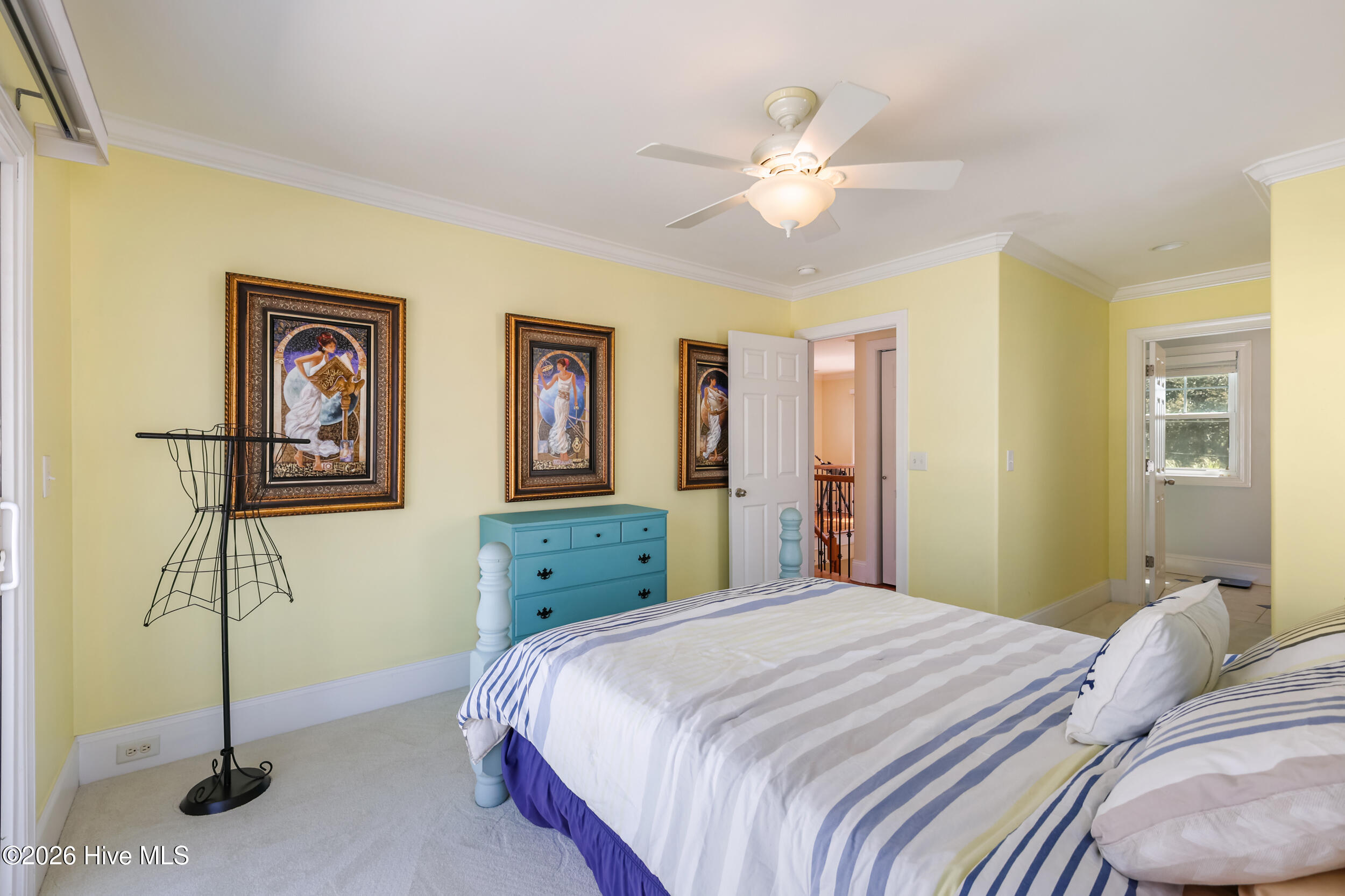 100568478 | Photo 28