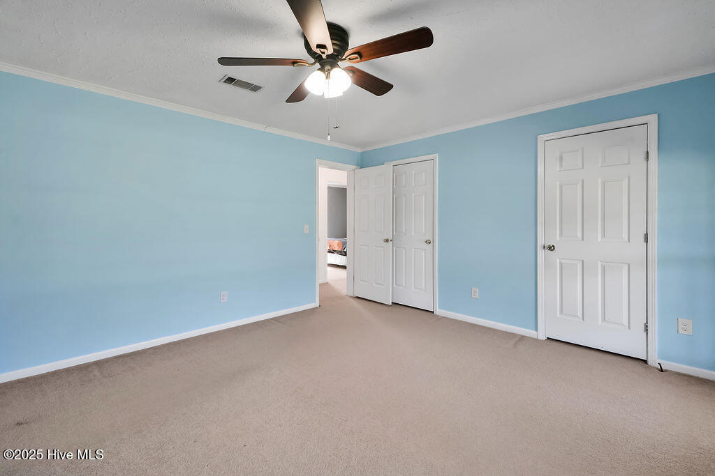 100537845 | Photo 47