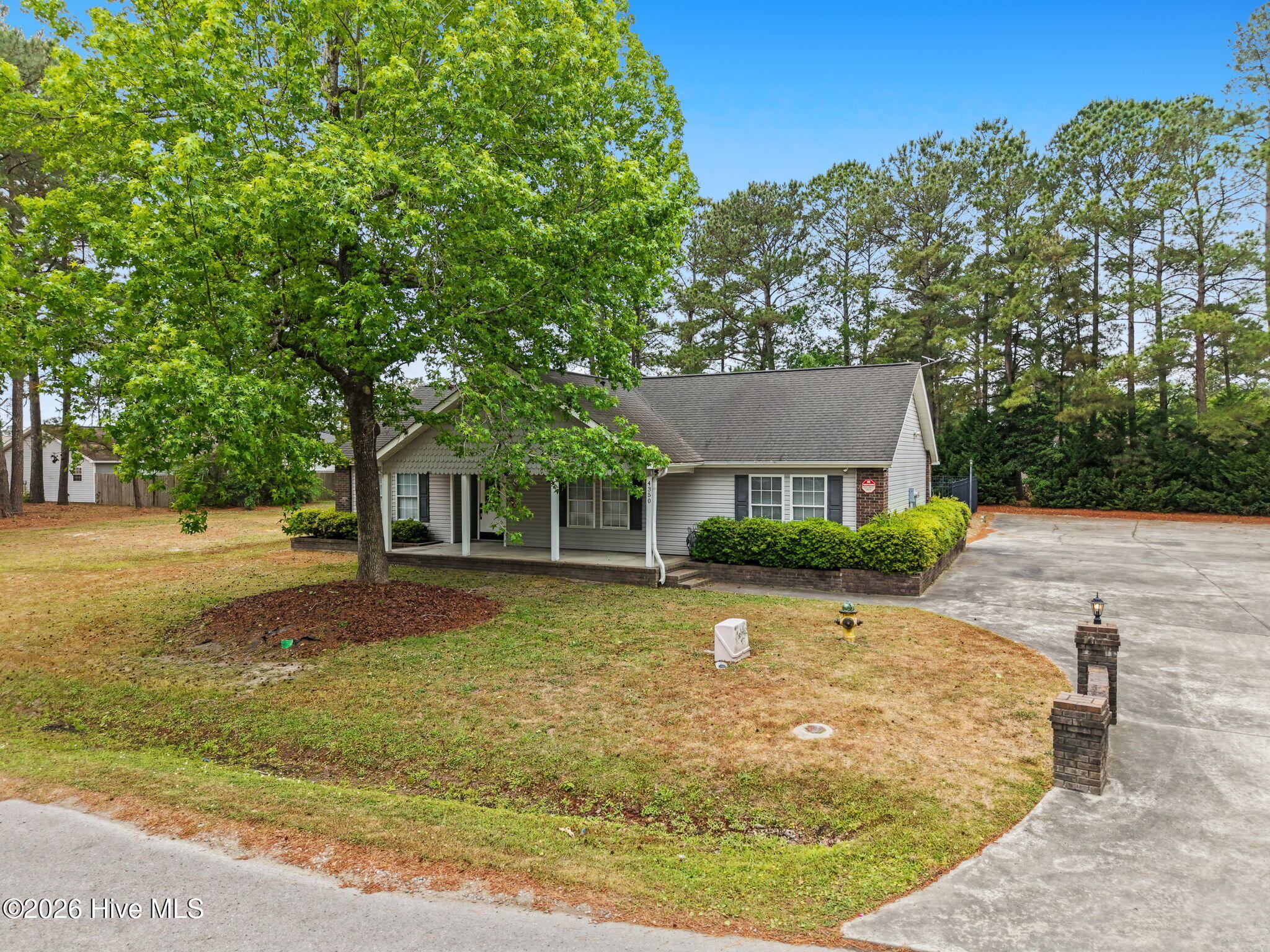 100570362 | Photo 28