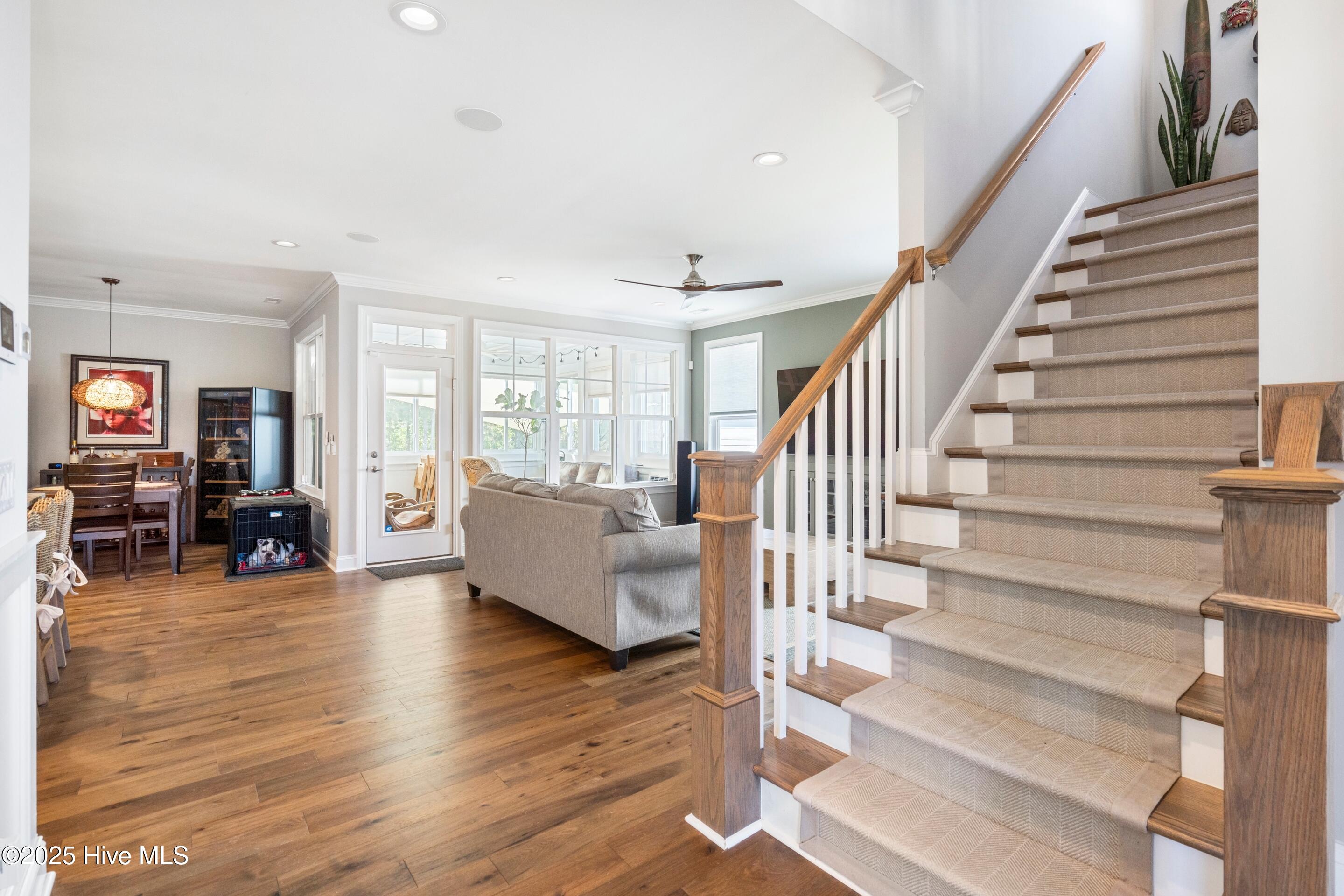 100538062 | Photo 15