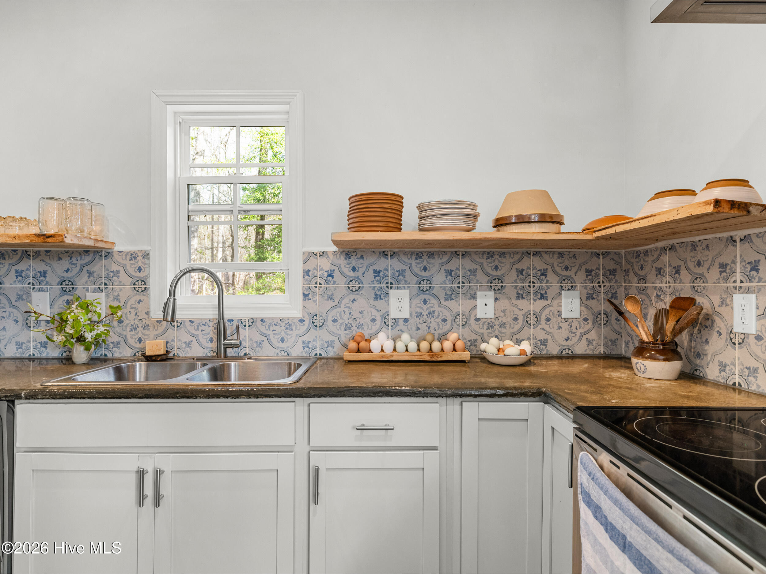 100558735 | Photo 18