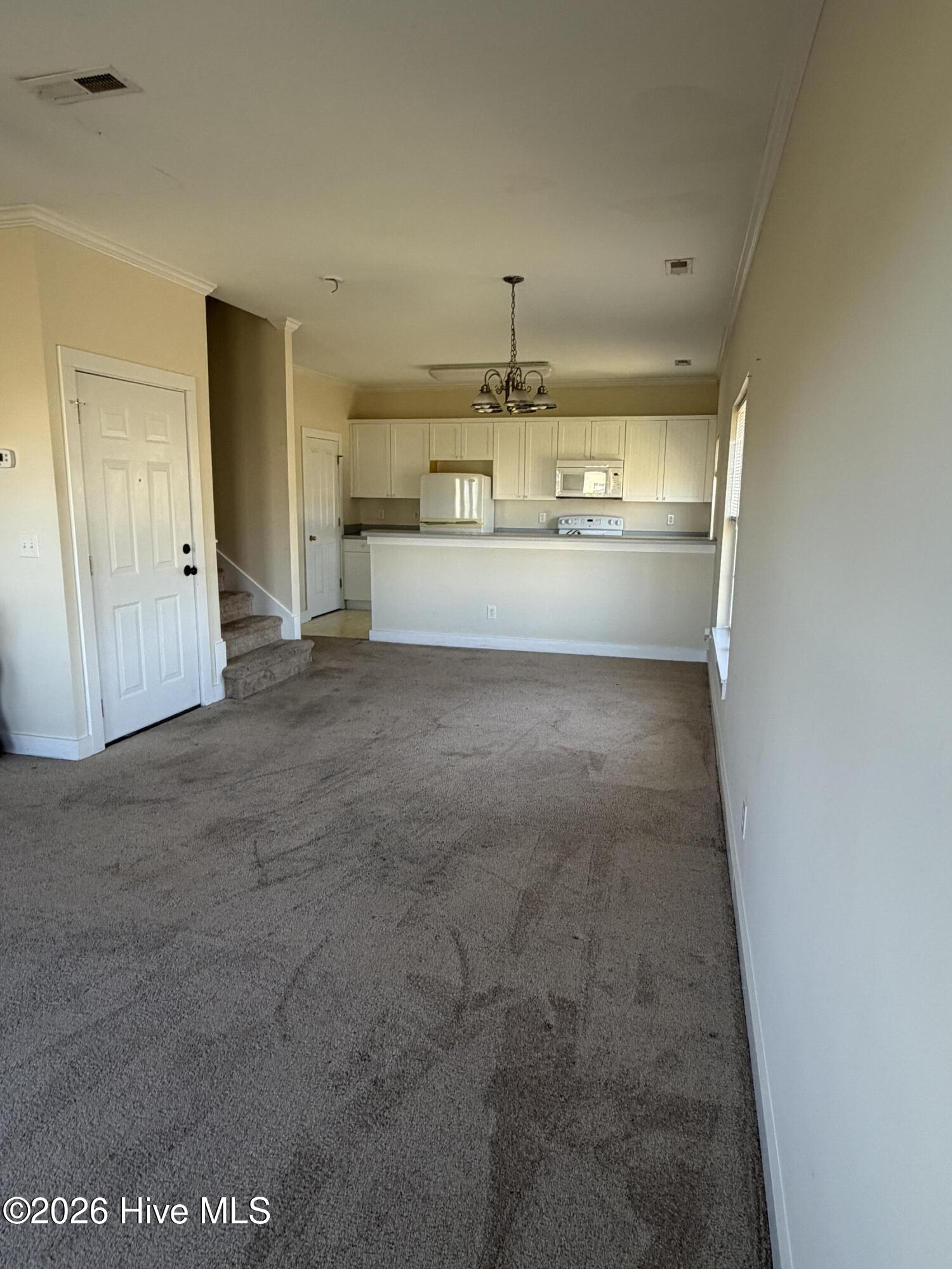 100566043 | Photo 15