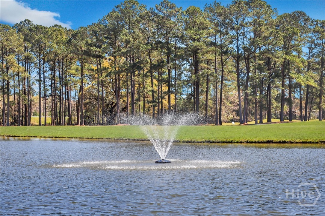 815 Marshview Drive, Richmond Hill, GA 31324 Listing Photo  7