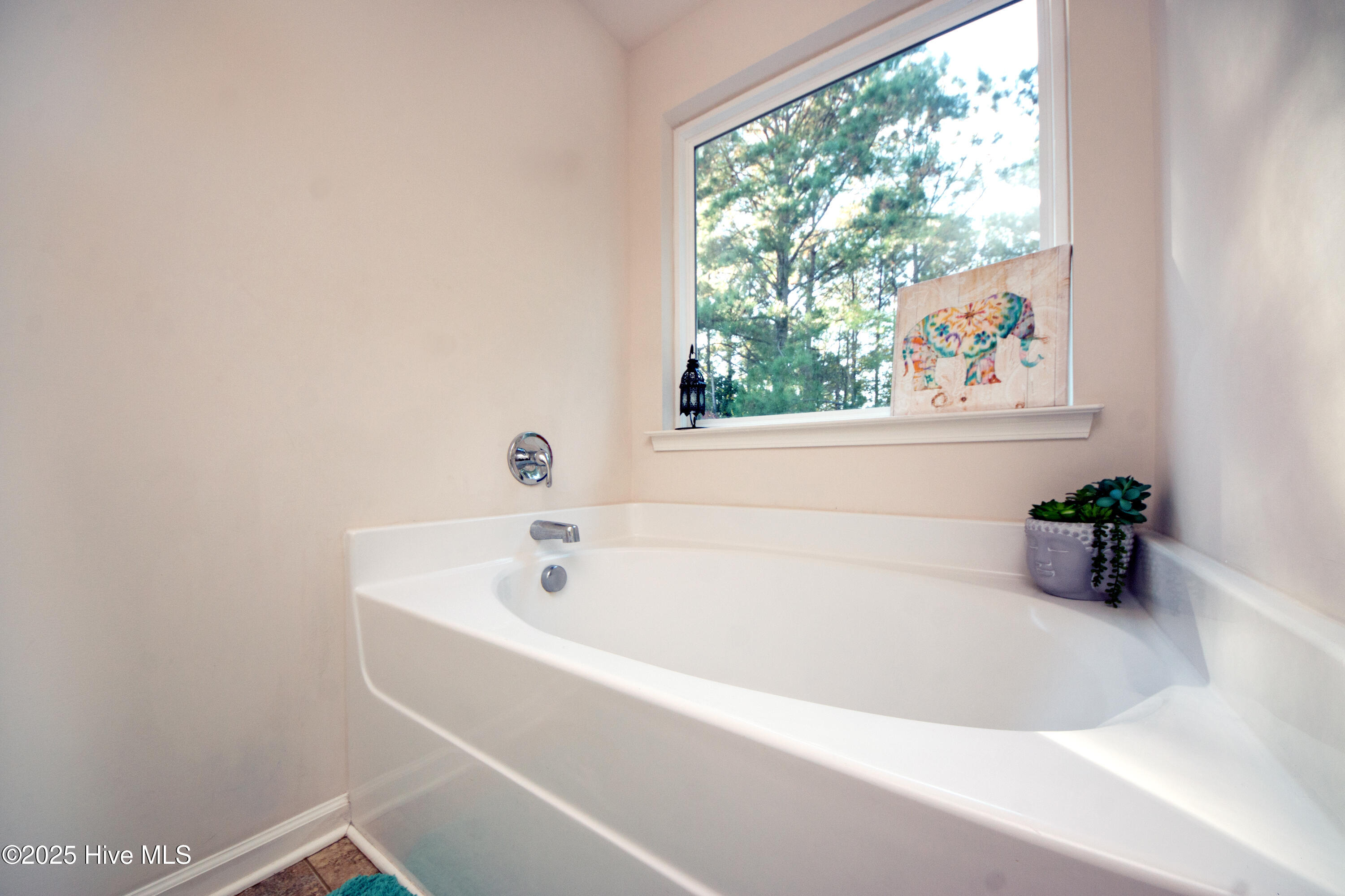 100542211 | Photo 50