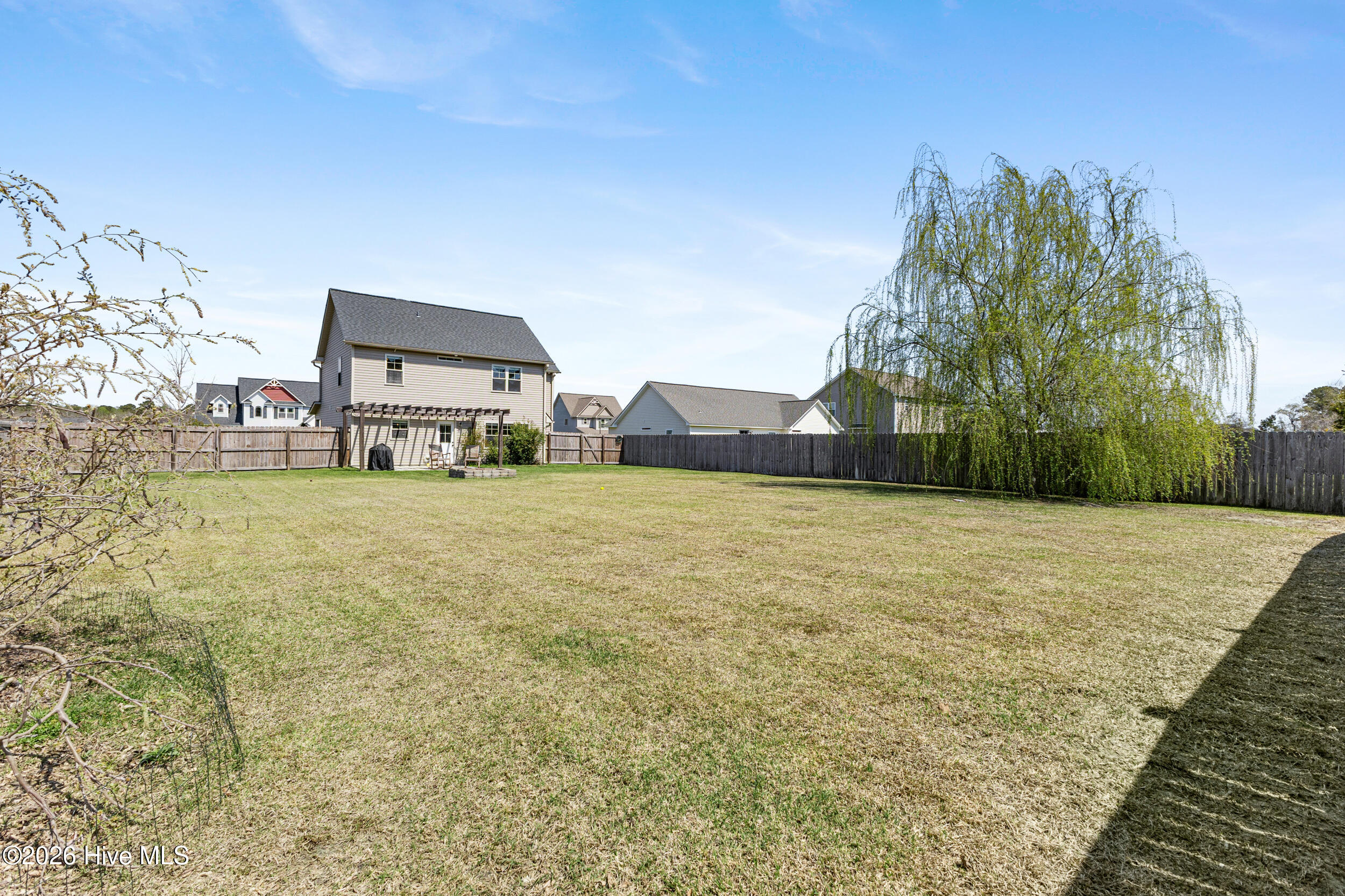 100563533 | Photo 30