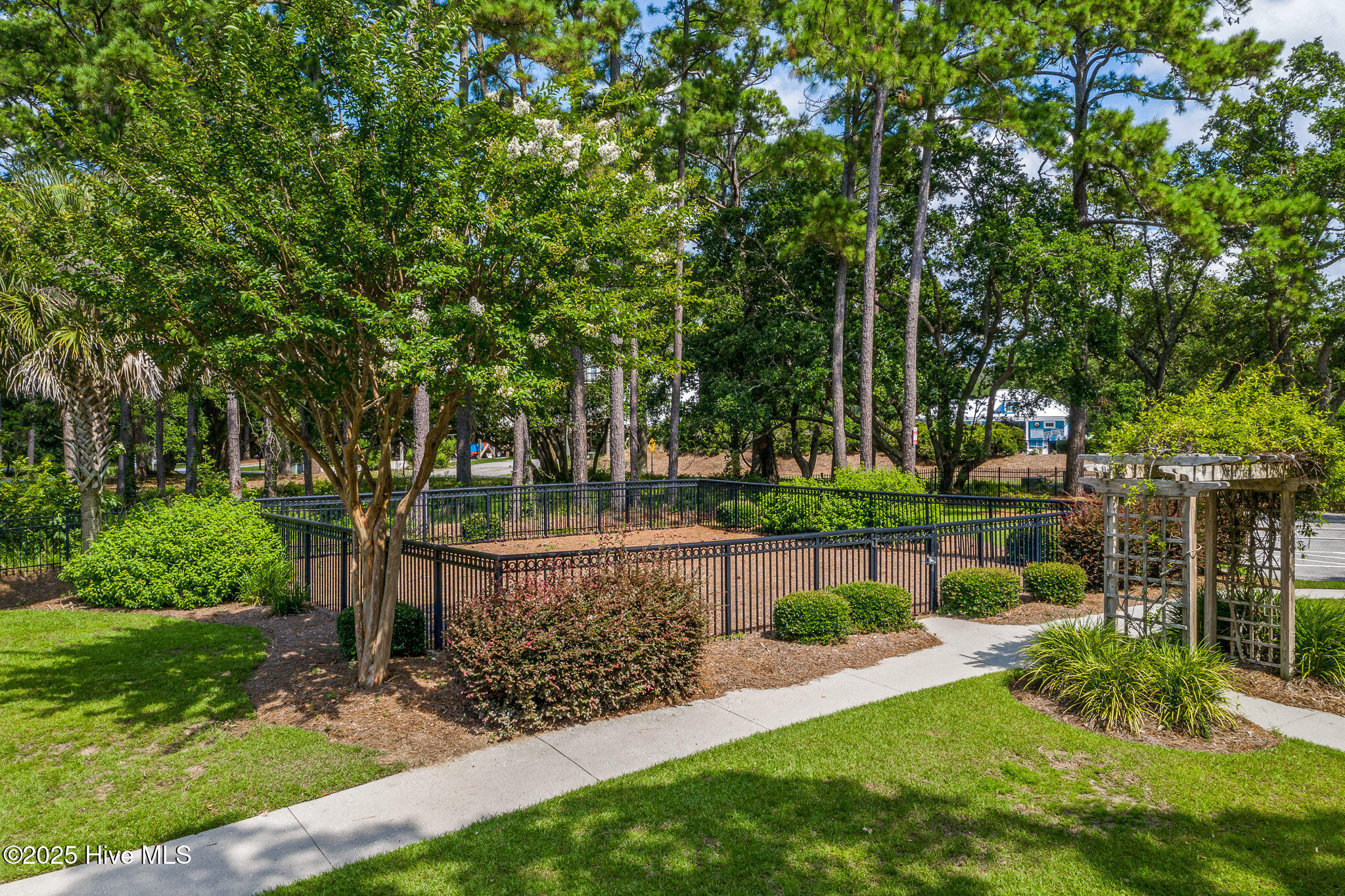 100535512 | Photo 71