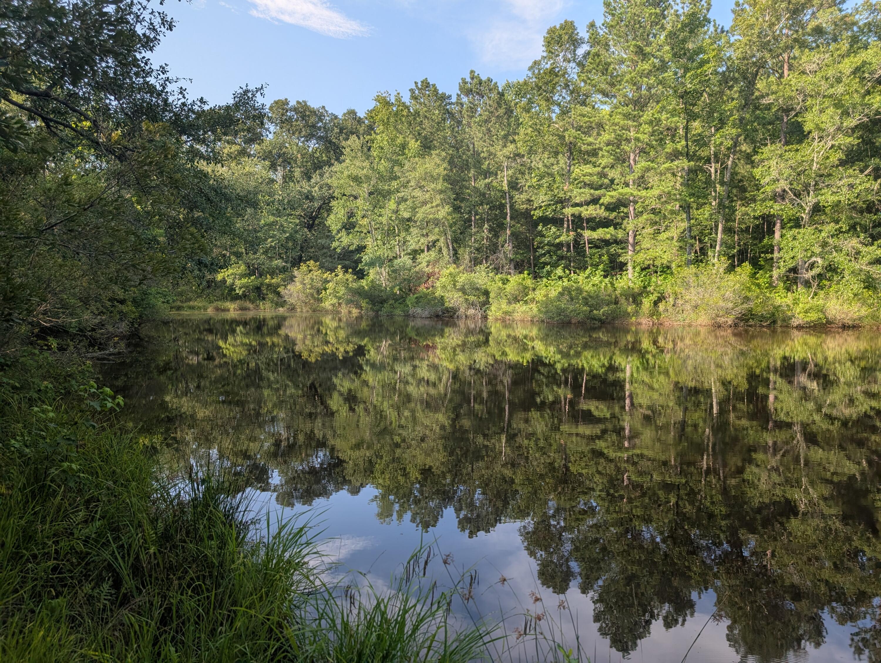 PXL_20250630_221017734.MP