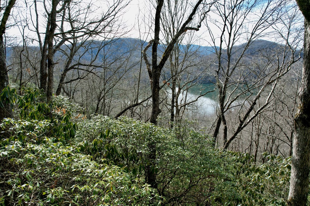 Exterior photo of Lot 14 Holly Ridge Road, Nantahala, NC 28781. MLS: 98500220