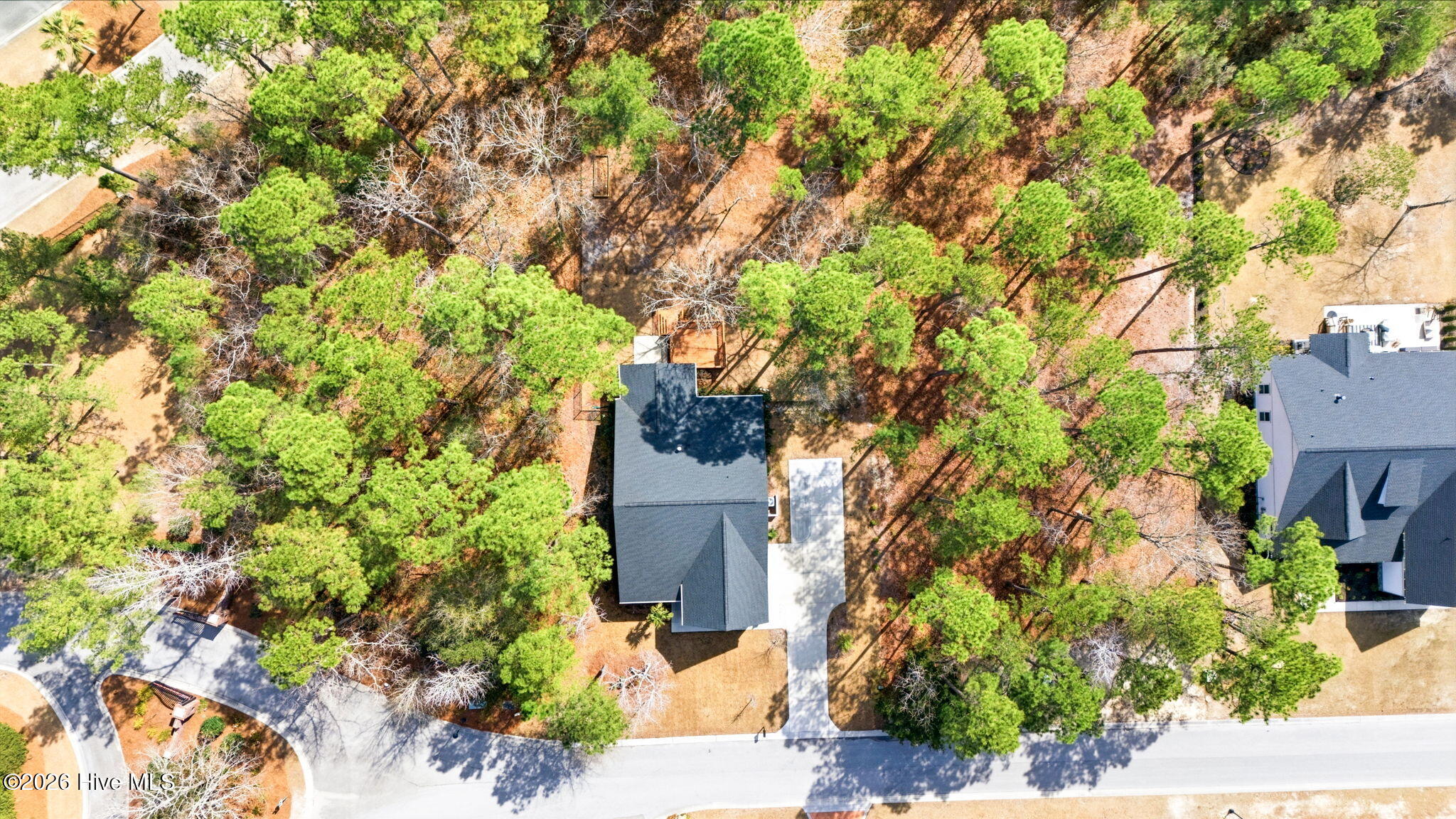 100558607 | Photo 49