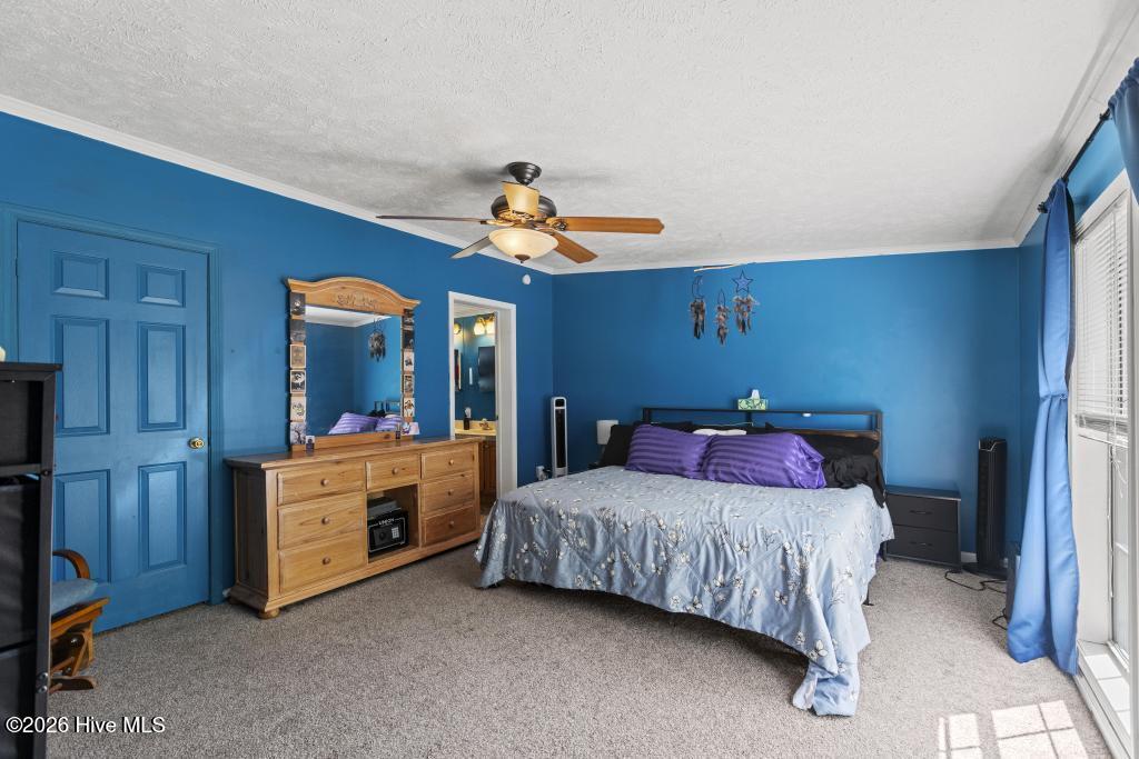 100570291 | Photo 20