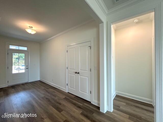 100535457 | Photo 31