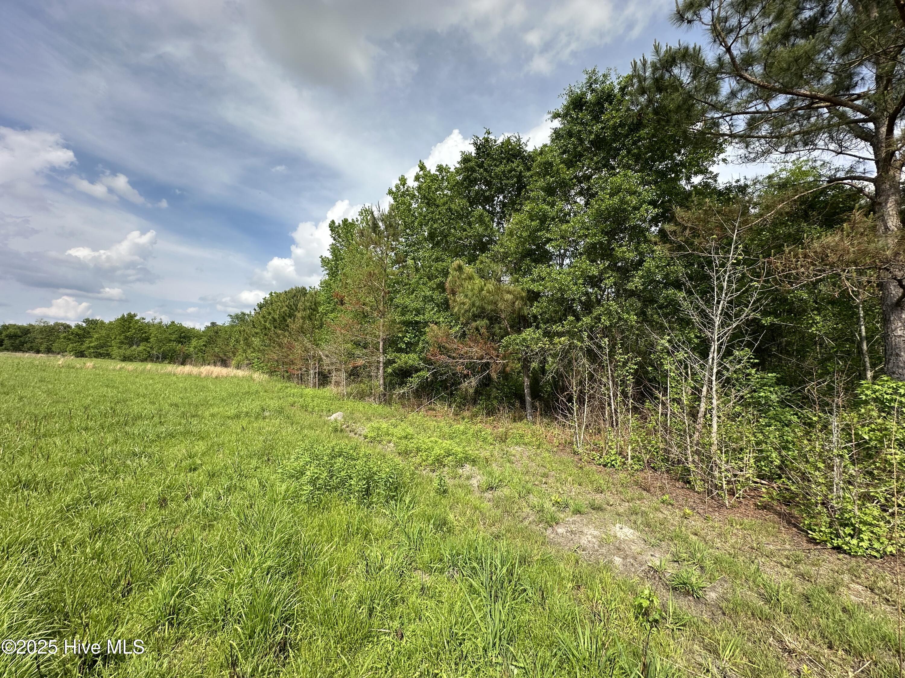 Photo 4 of Land for sale at Tract 2 Mcgirt Rd, Maxton, NC 28364 | MLS# 100601006 | Listing updated on 2026-09-03