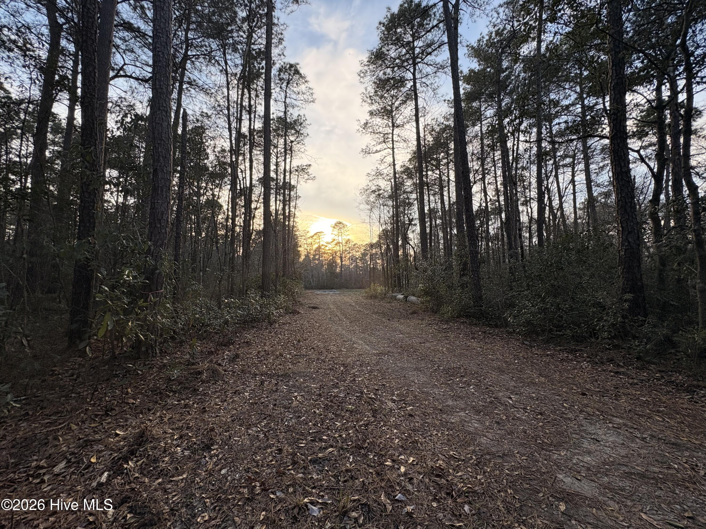 3.98 Acres Pelham Road image