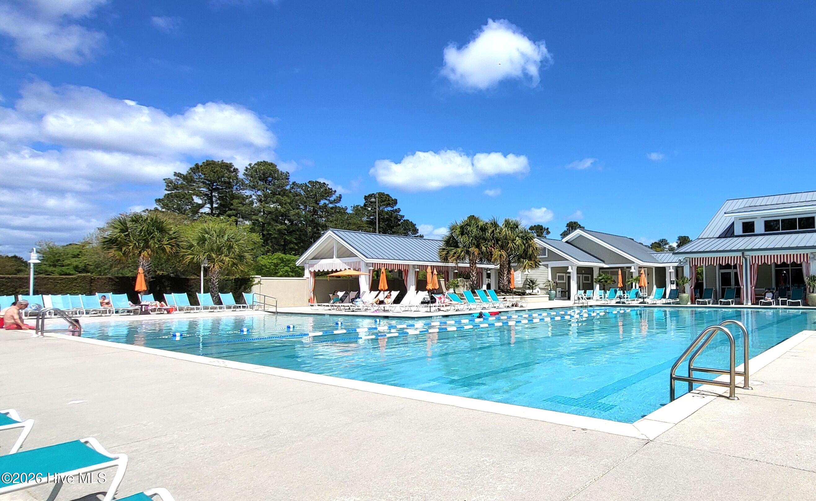 100564623 | Photo 30