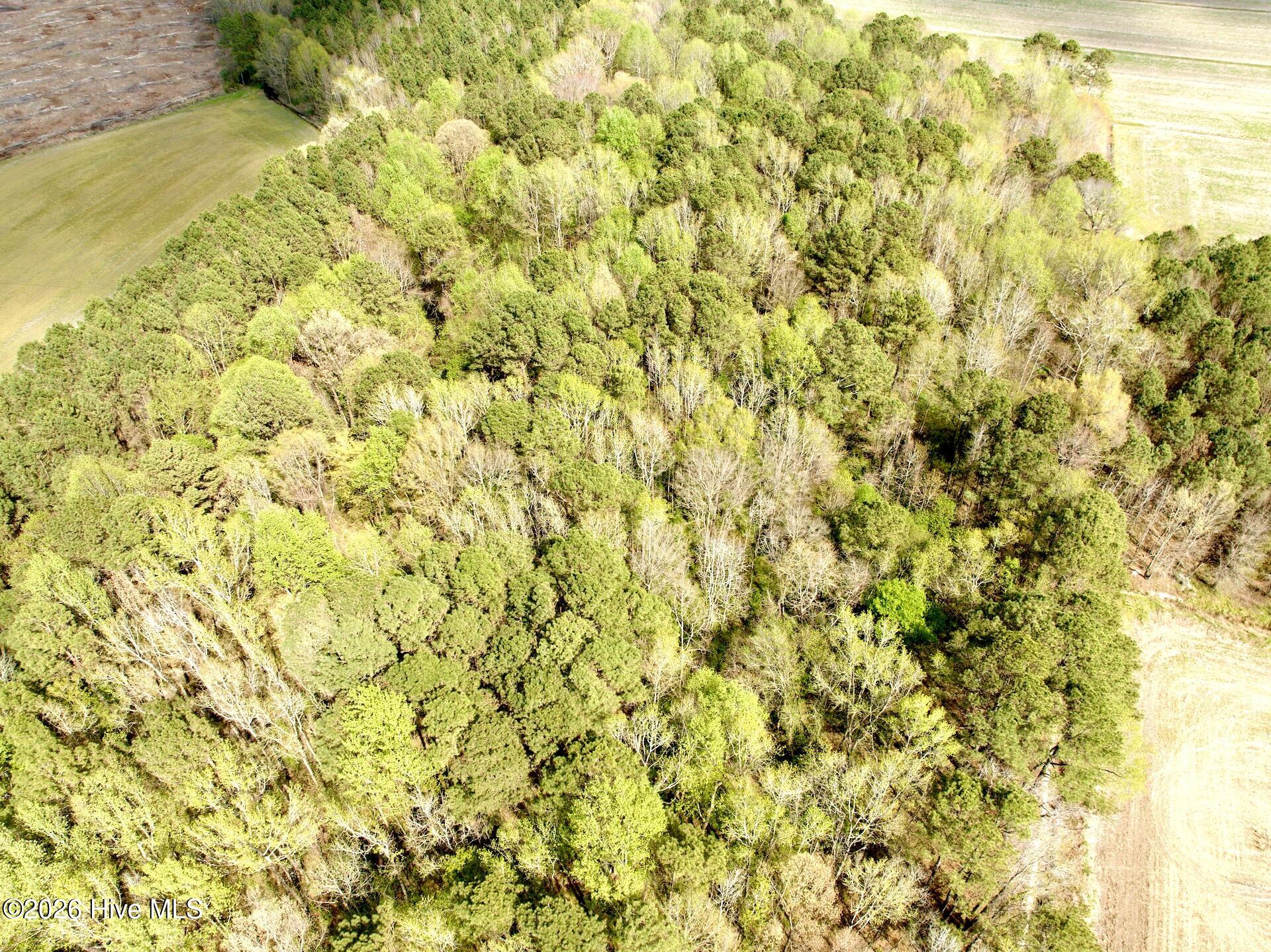 0 Middle Swamp Road, Gates, NC, 27937