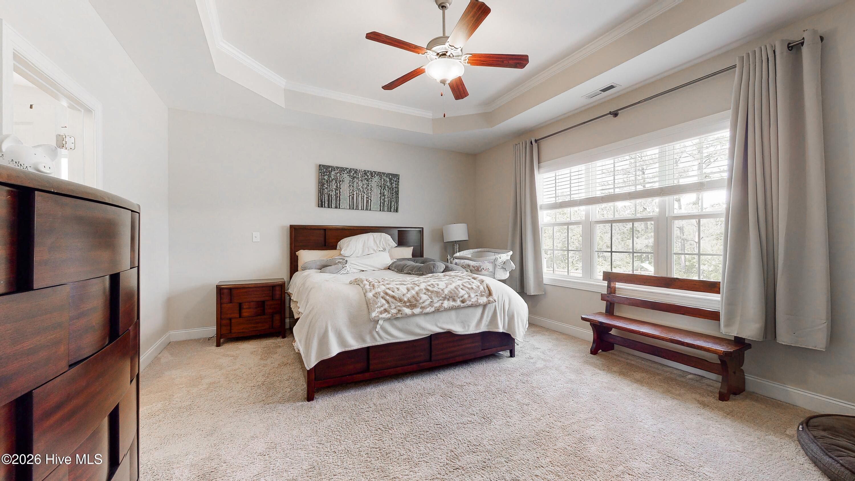 100570158 | Photo 25