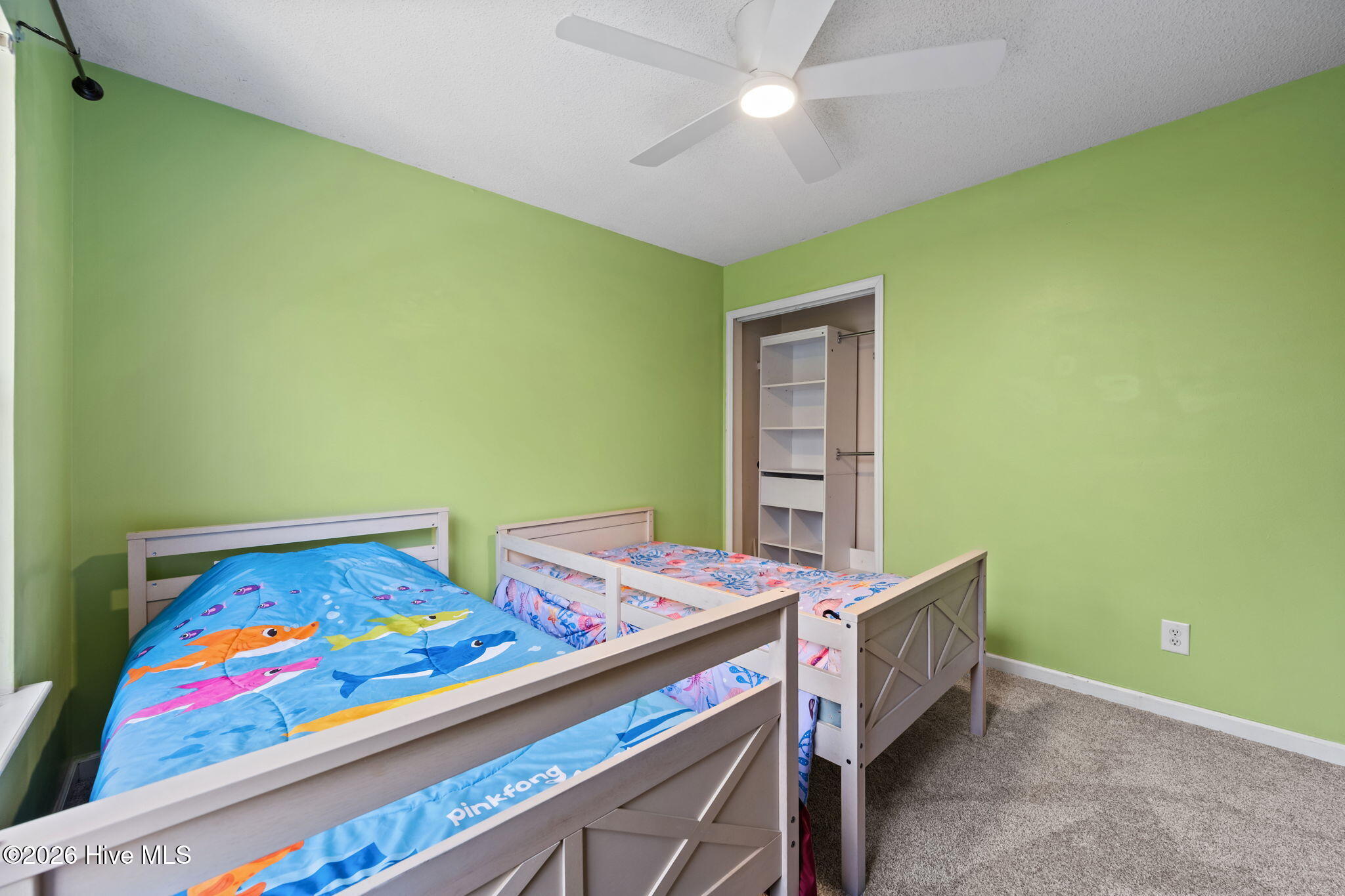 100552241 | Photo 31