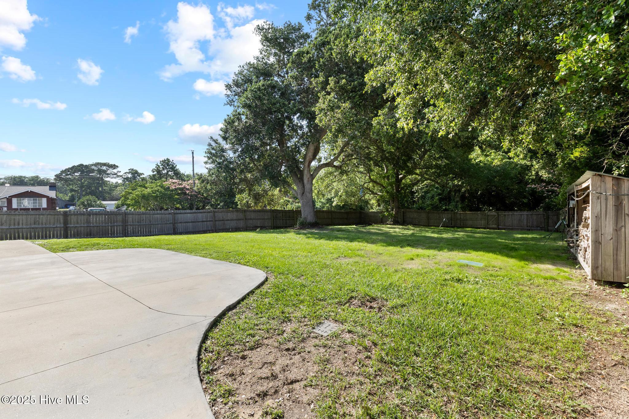 100512903 | Photo 62