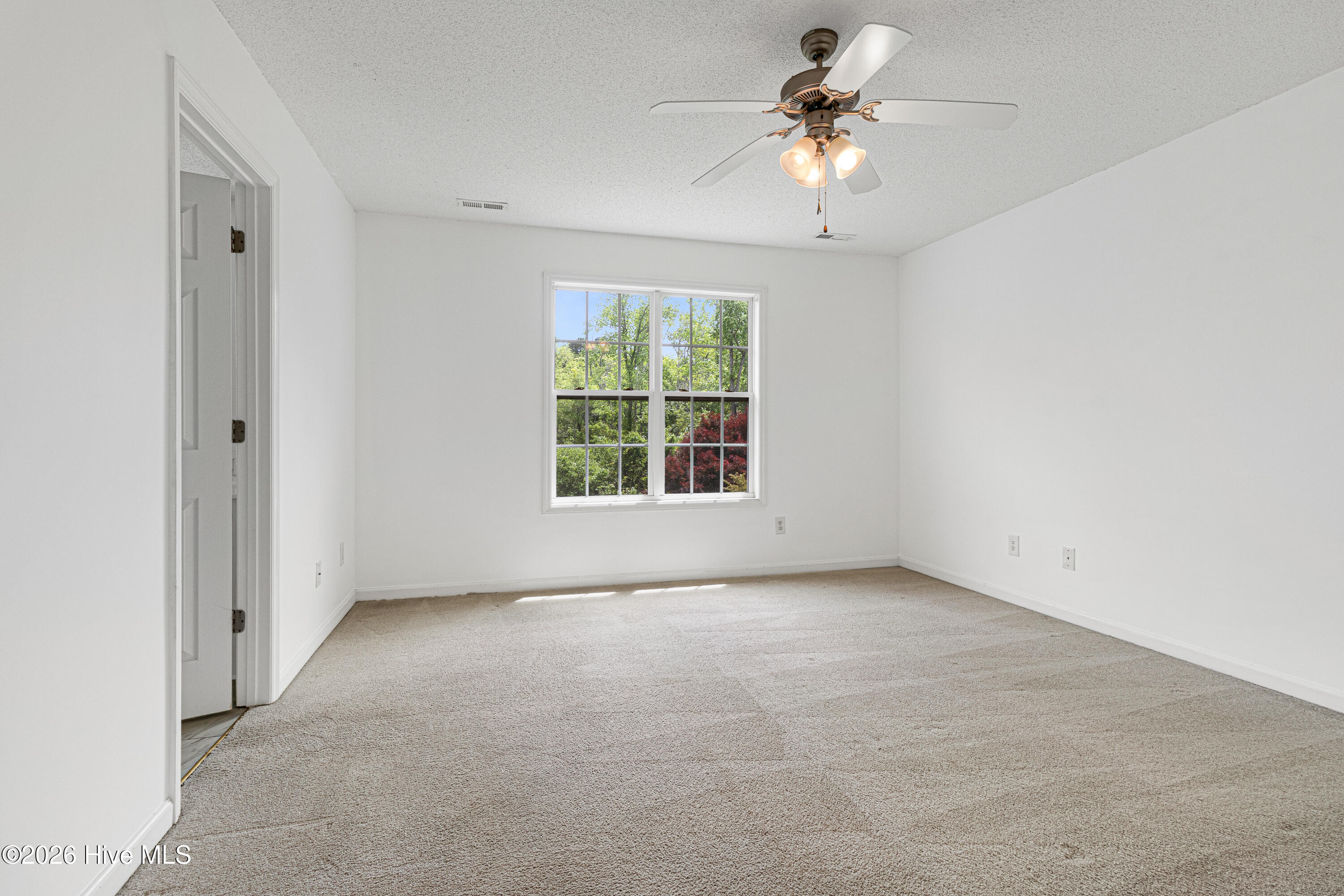 100570651 | Photo 15