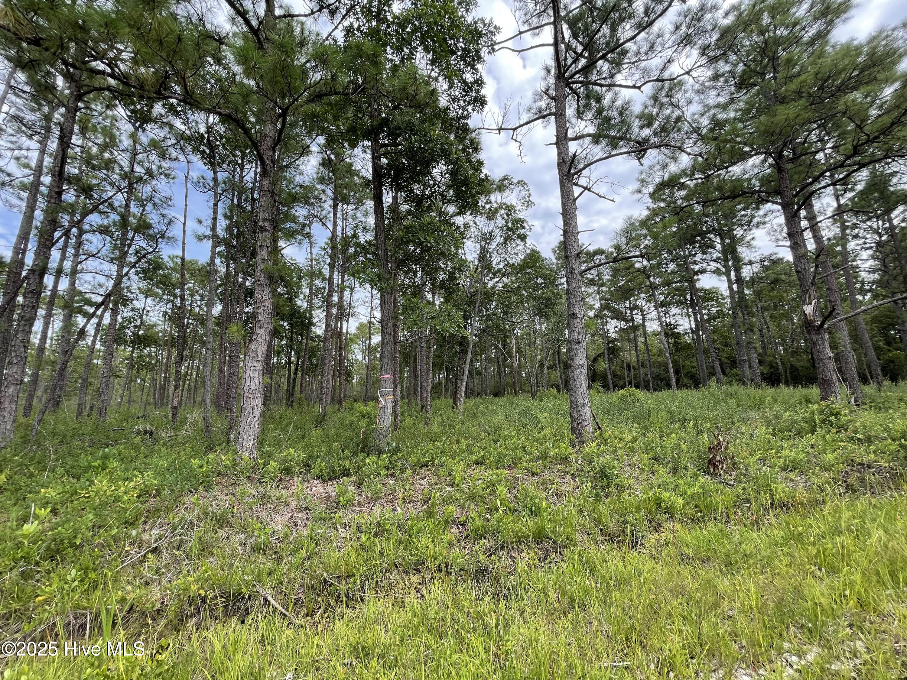 0 5th Street Ext, Hamlet, NC, 28345