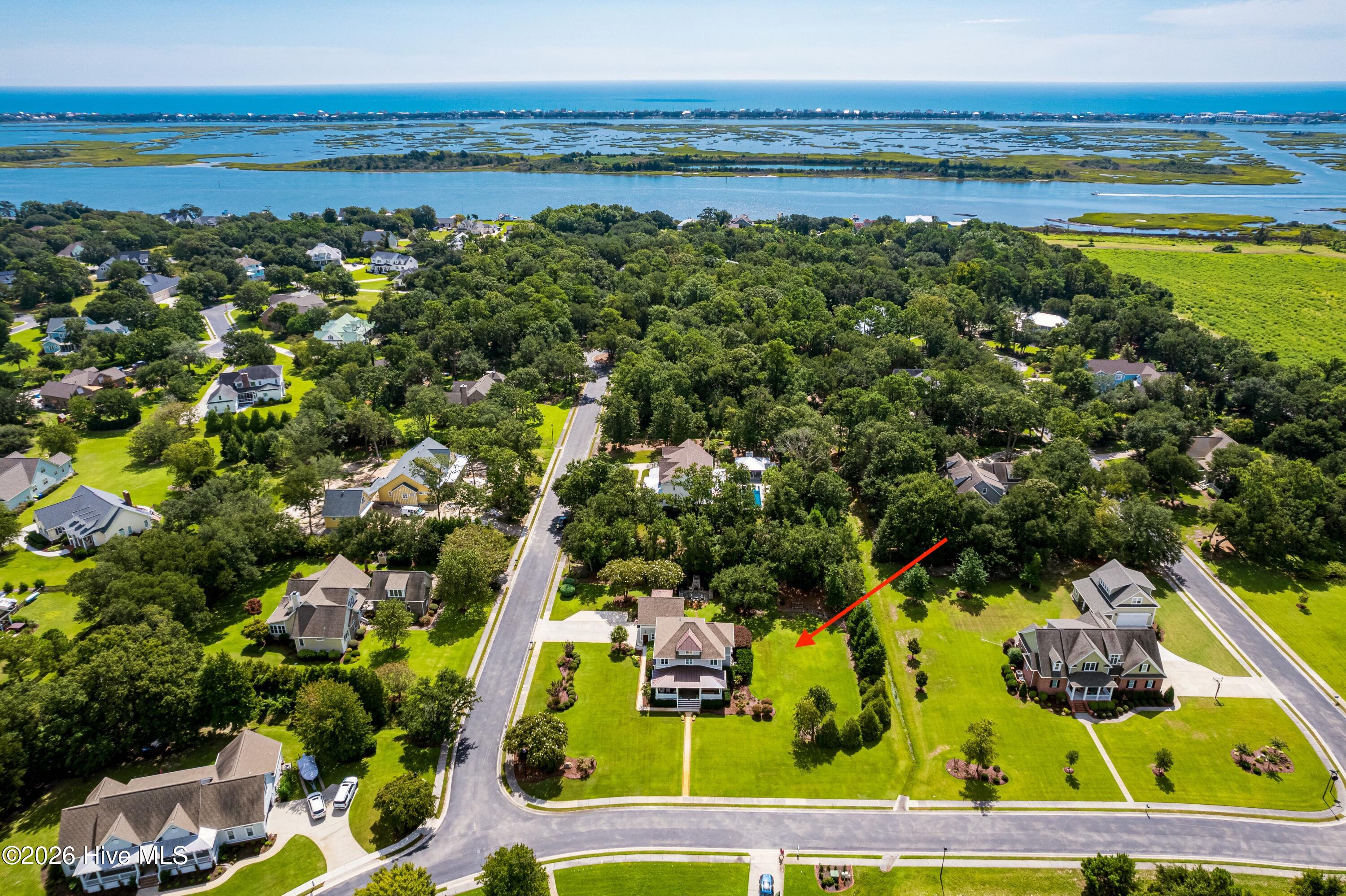 100565124 | Photo 50