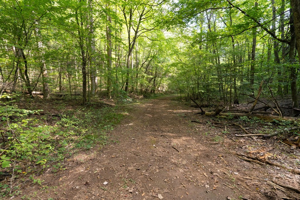 Exterior photo of 26.98 Ac Tusquittee, Hayesville, NC 28904. MLS: 98525025