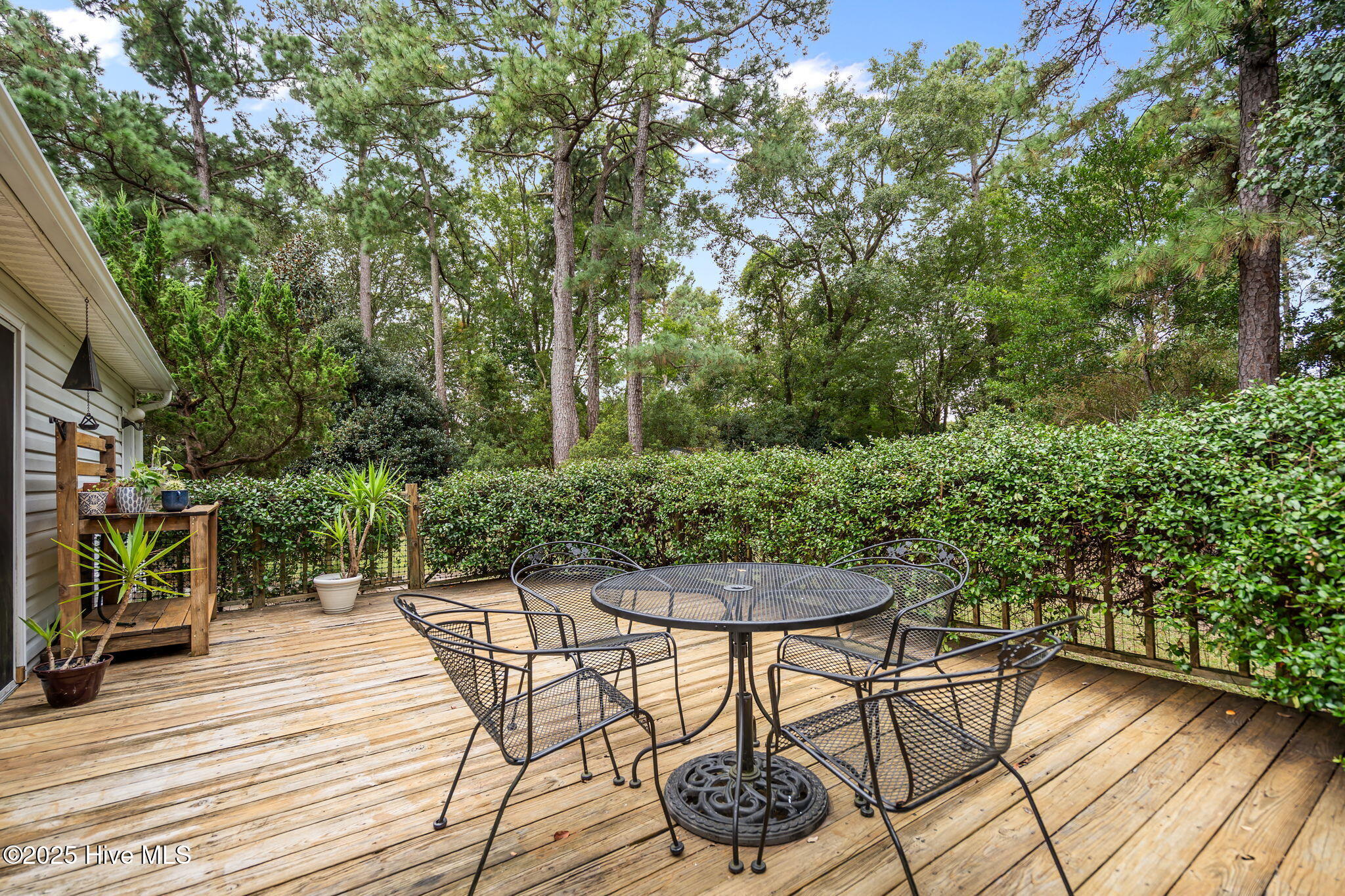 100543555 | Photo 45