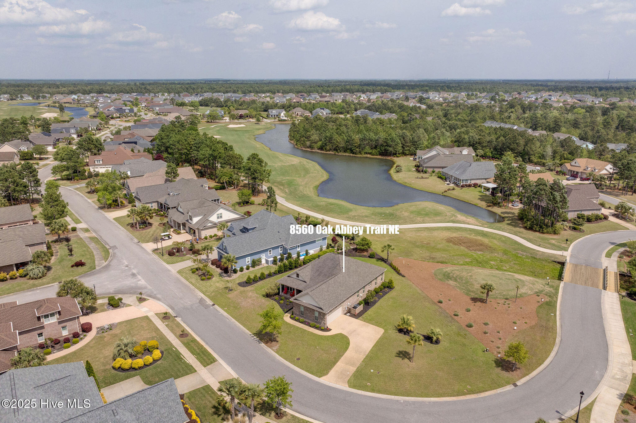 100549436 | Photo 50