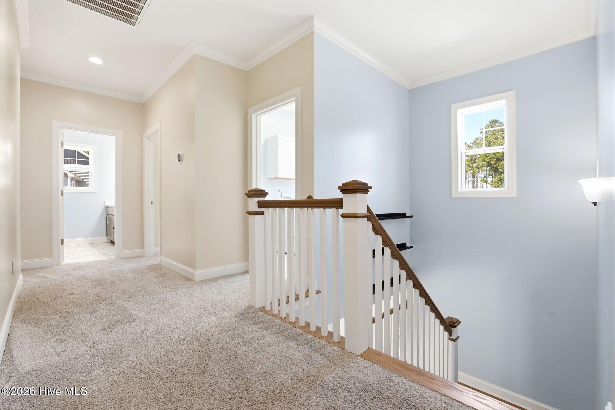 100562109 | Photo 60