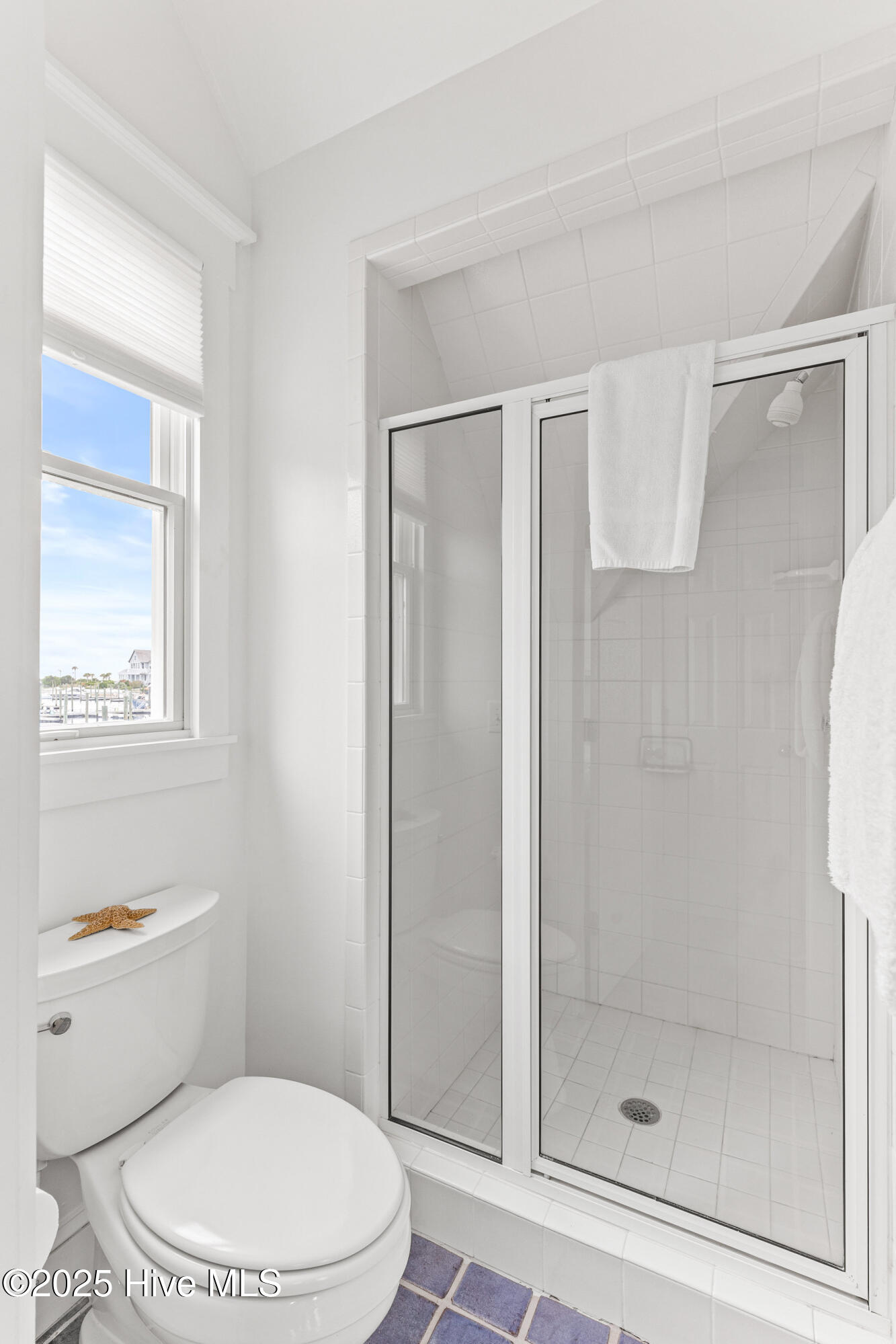 100521307 | Photo 34