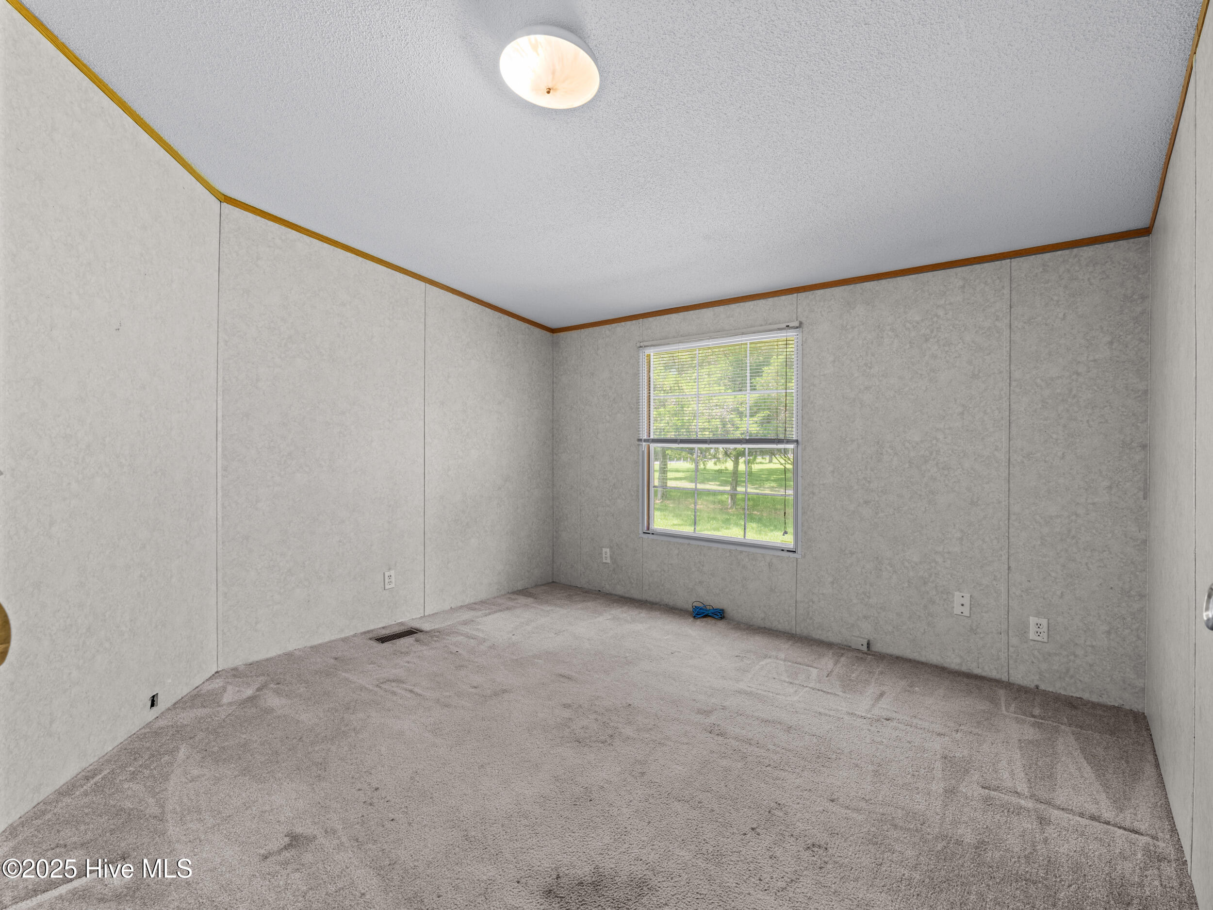 100520478 | Photo 21