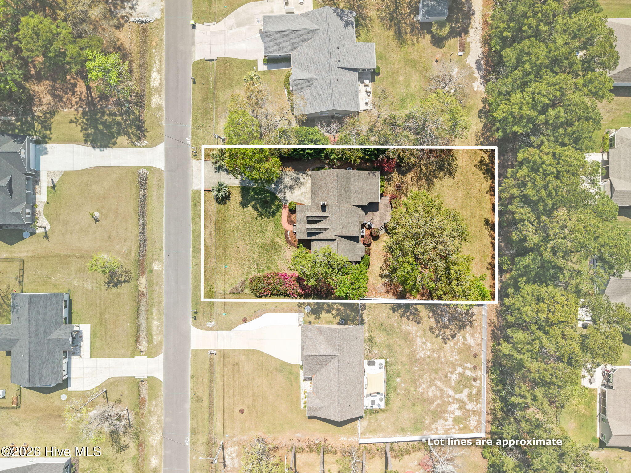 100564721 | Photo 65