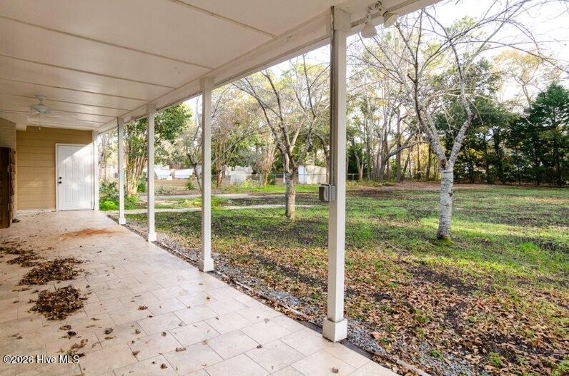 100556433 | Photo 21