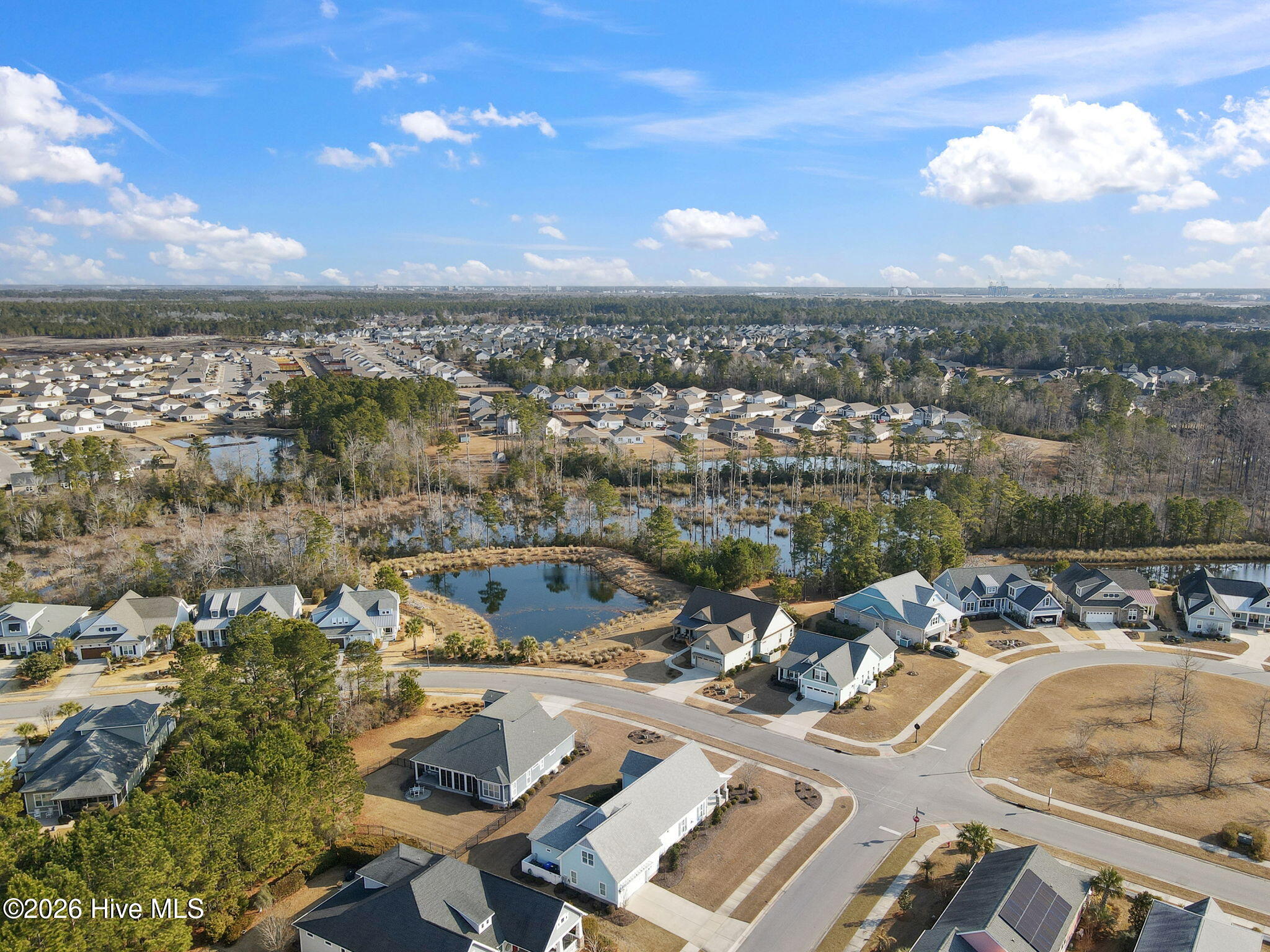 100554353 | Photo 64