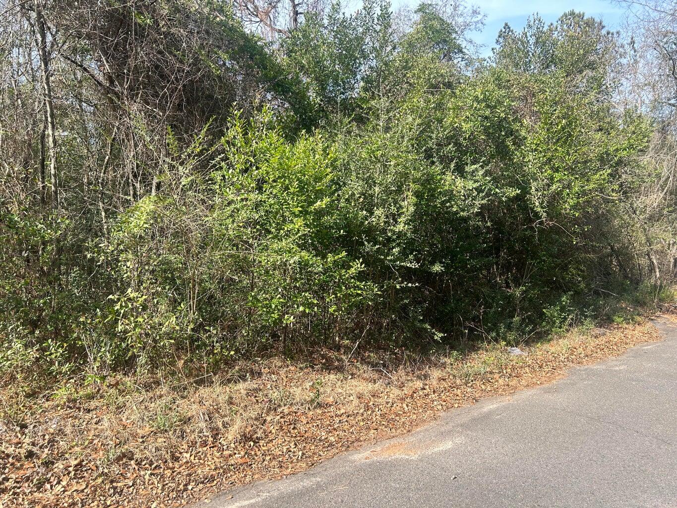 Homes for sale in New Ellenton, SC | 0 Robinson Dr, New Ellenton, SC 29809 | MLS# 551334