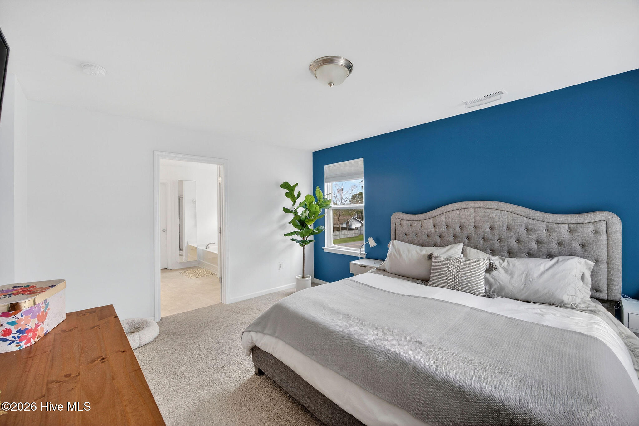 100562313 | Photo 29