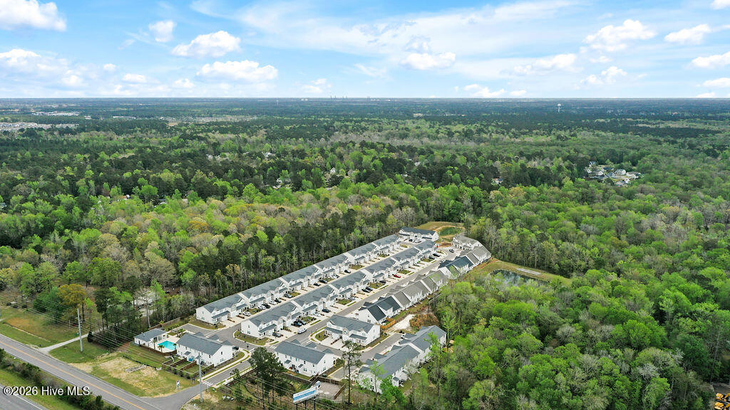 100565667 | Photo 41