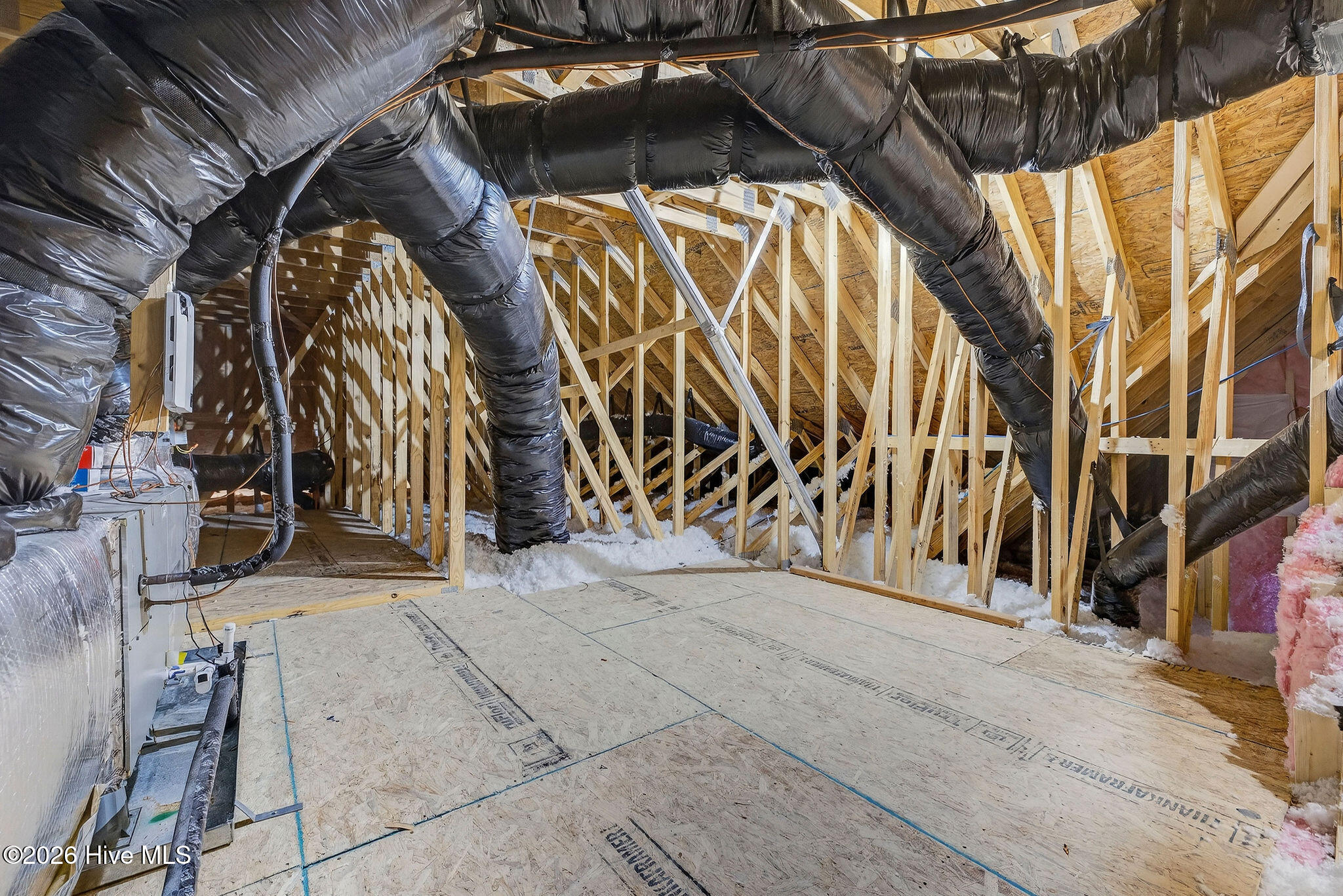 100560917 | Photo 37