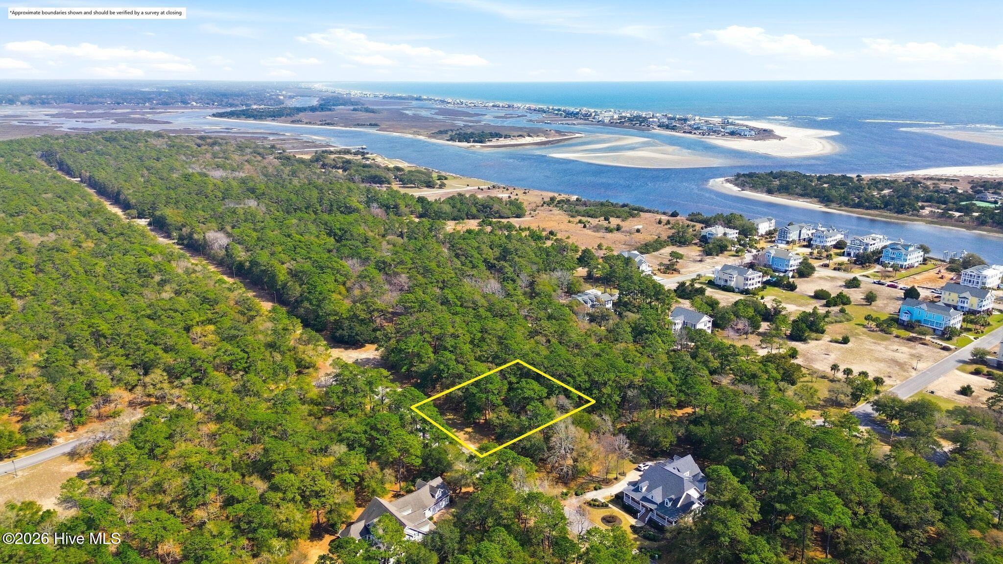 100562202 | Photo 13