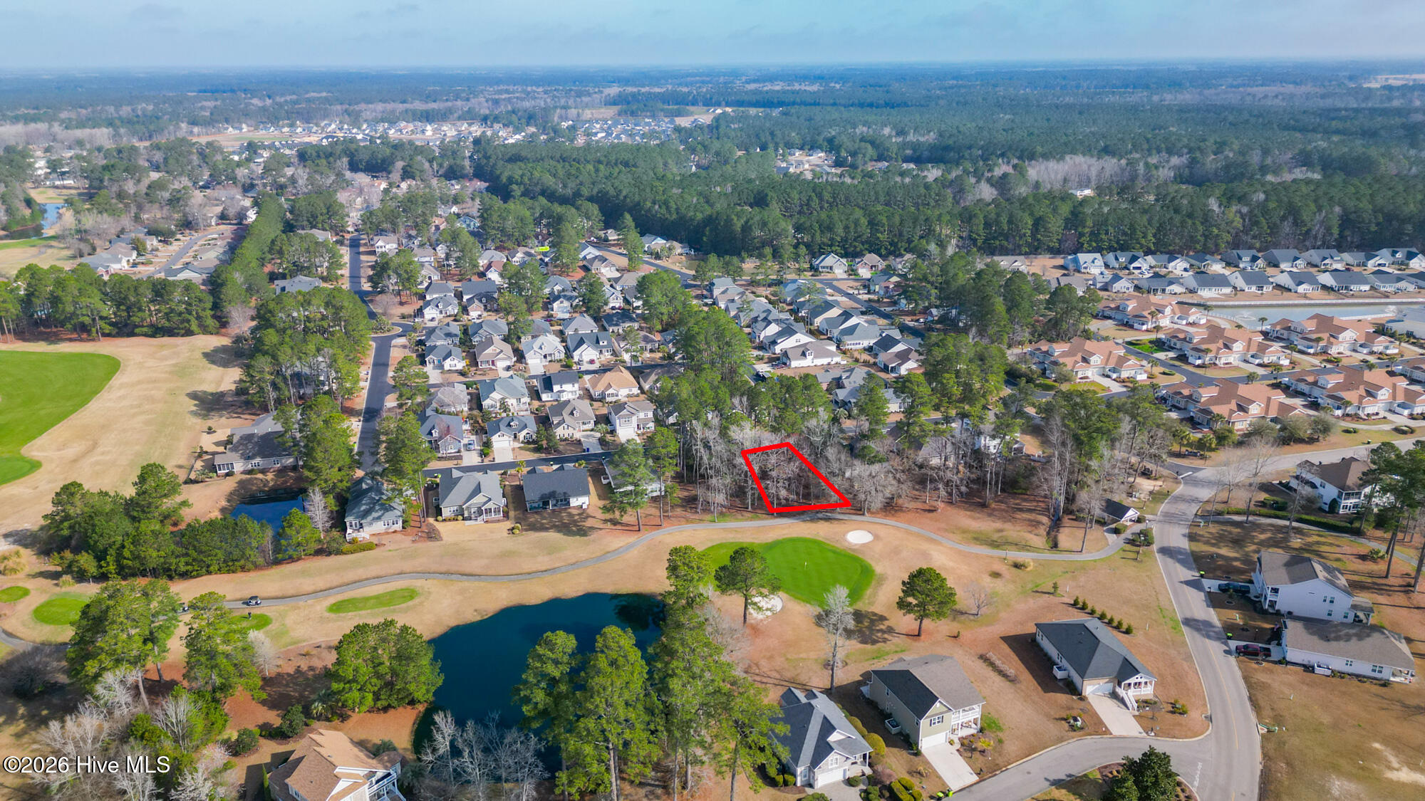 100558598 | Photo 10