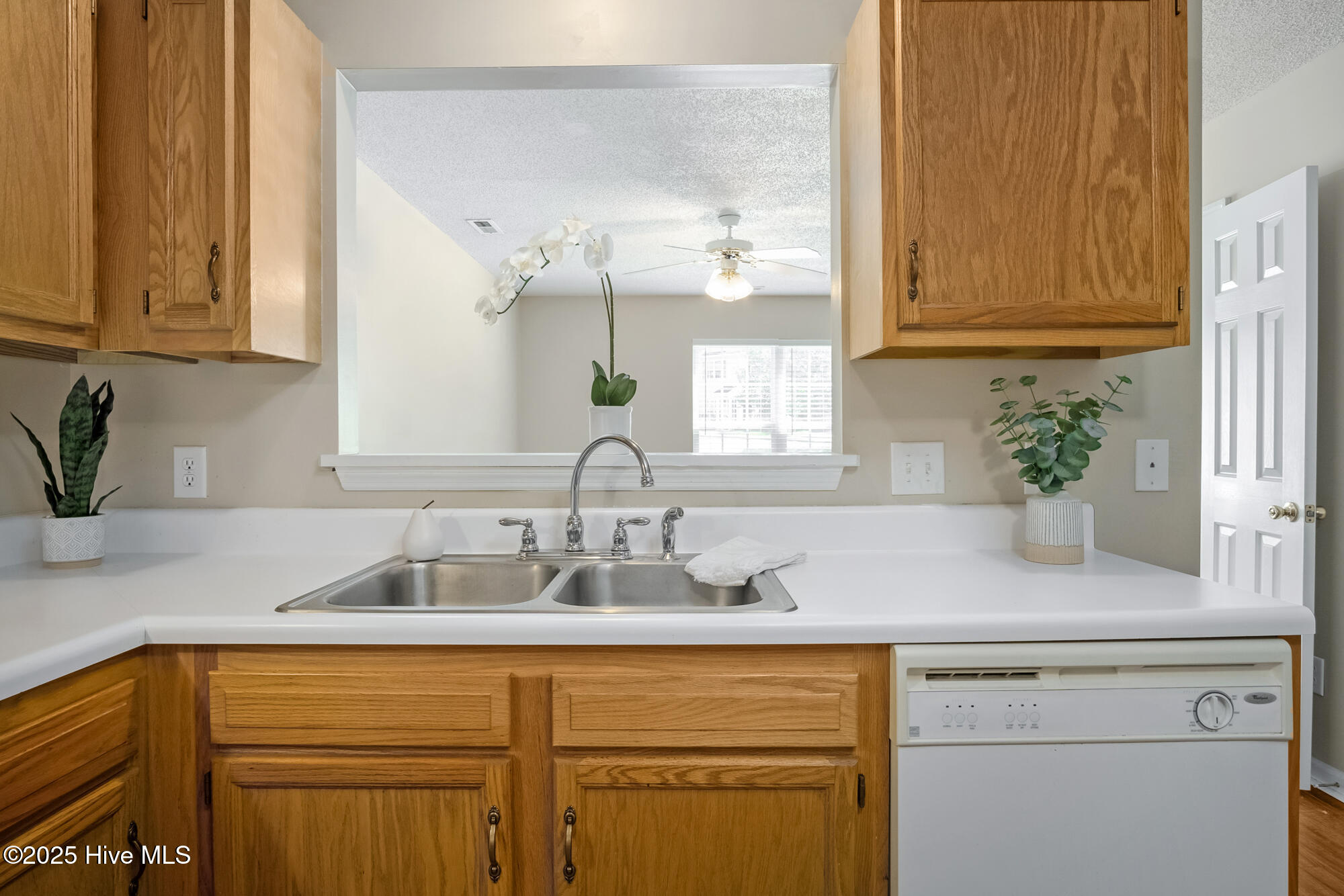 100546493 | Photo 13