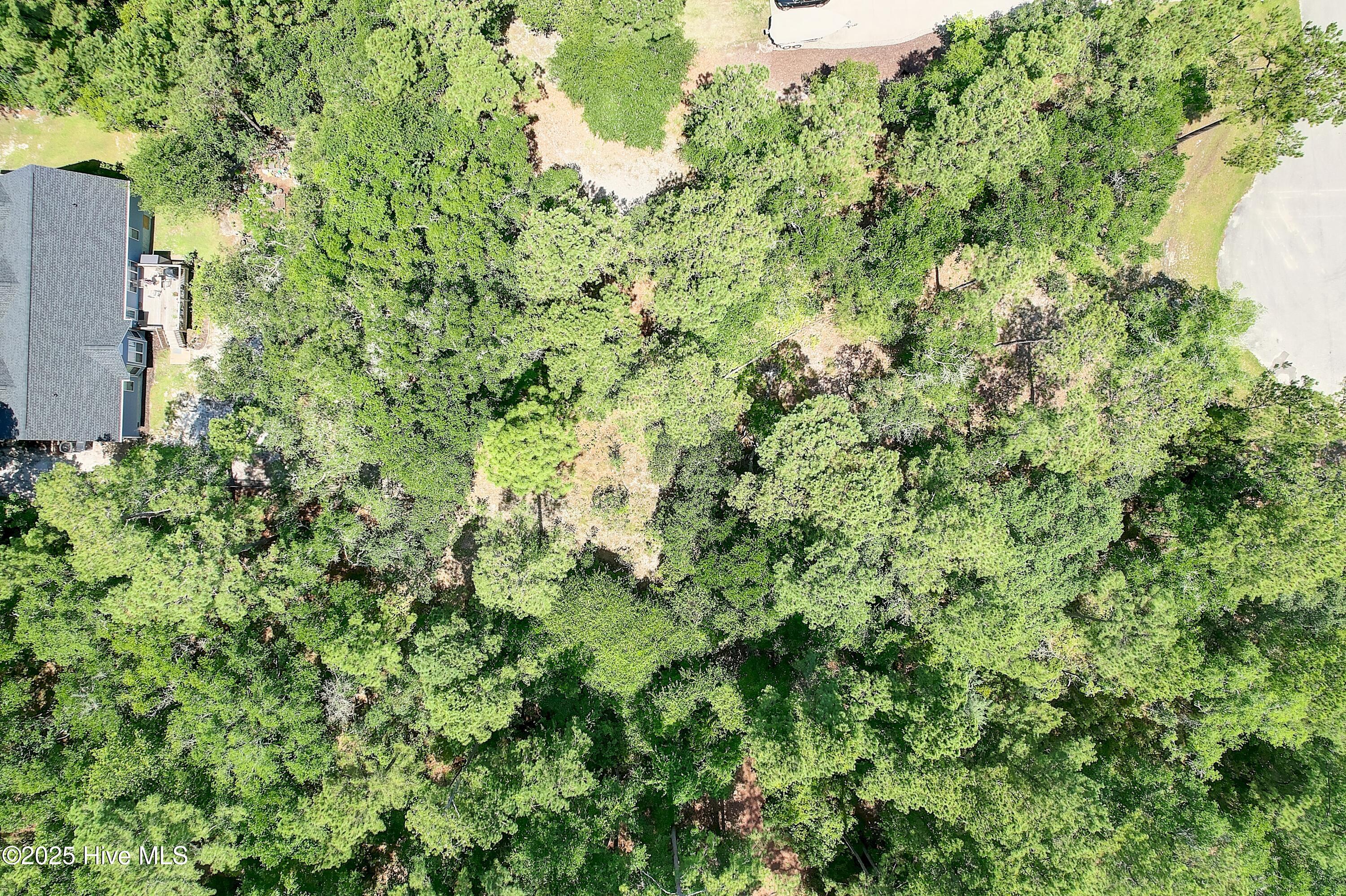 100515892 | Photo 22