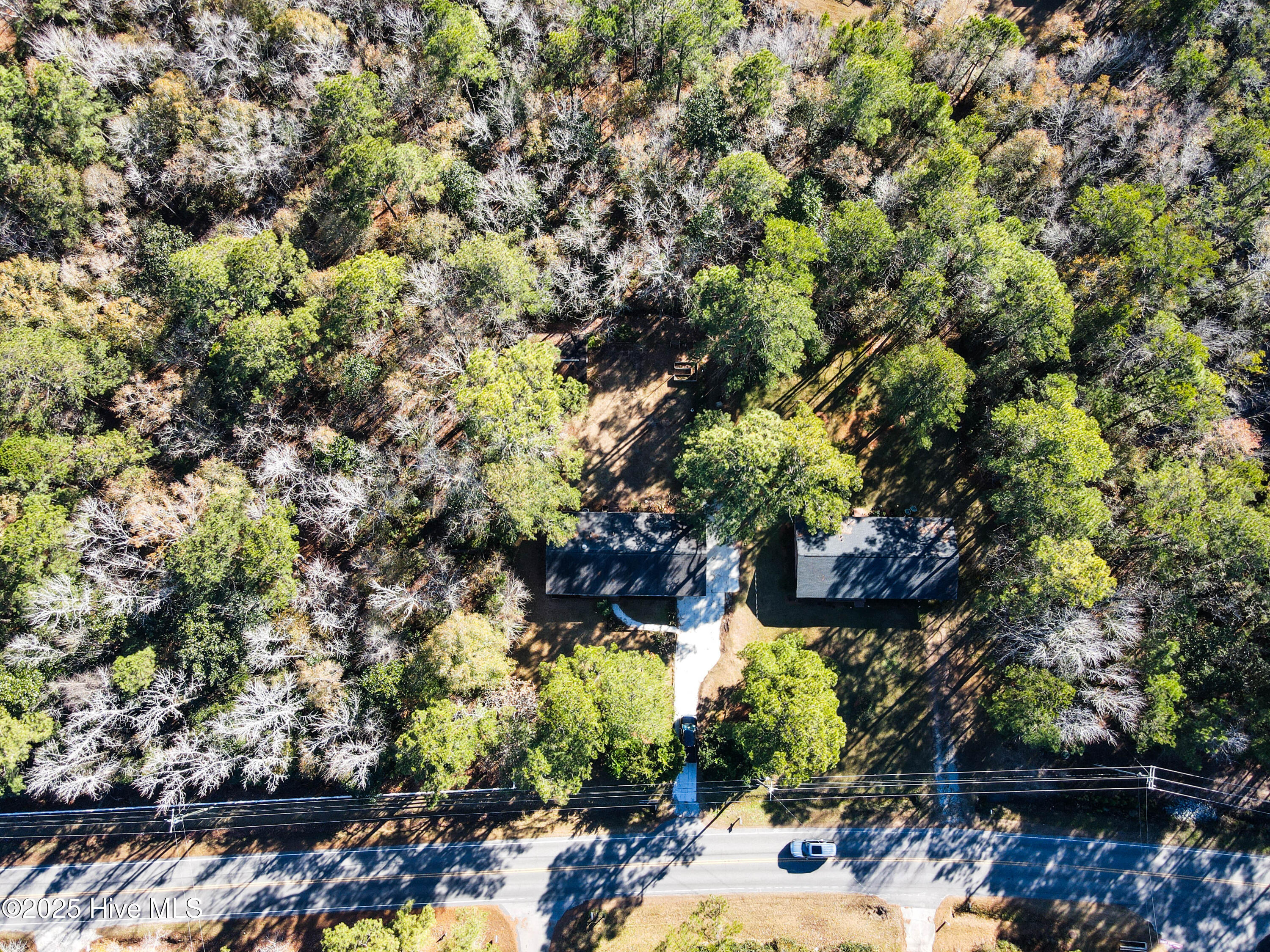 100546287 | Photo 59