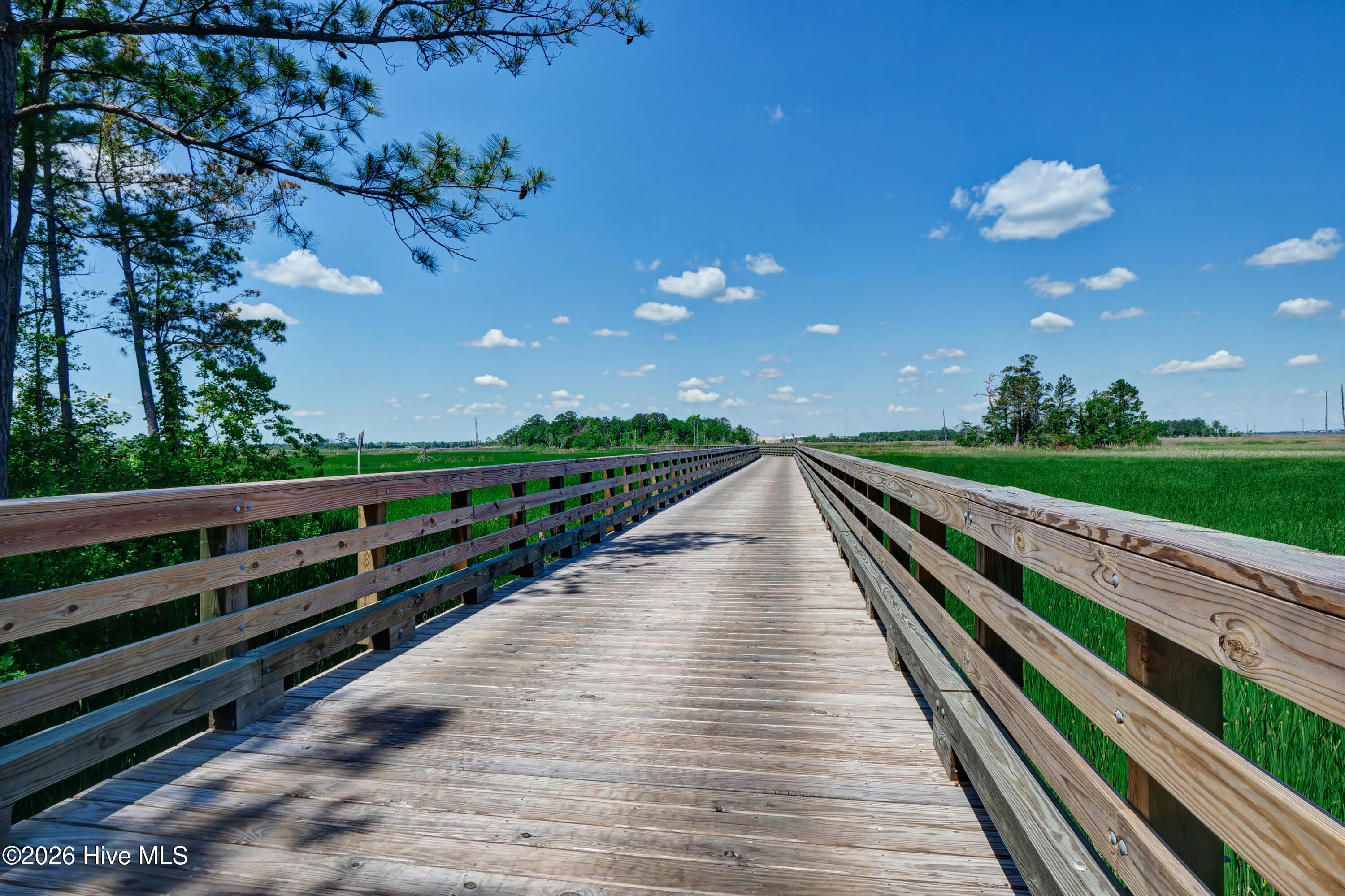 100552456 | Photo 24