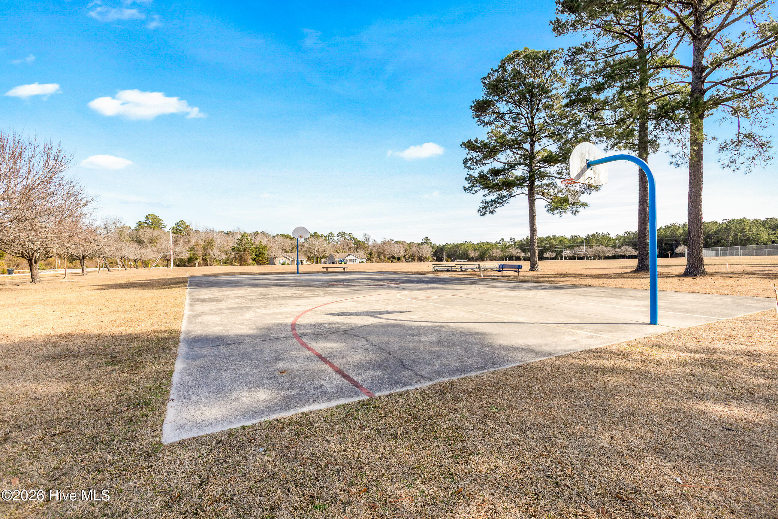 100548904 | Photo 29