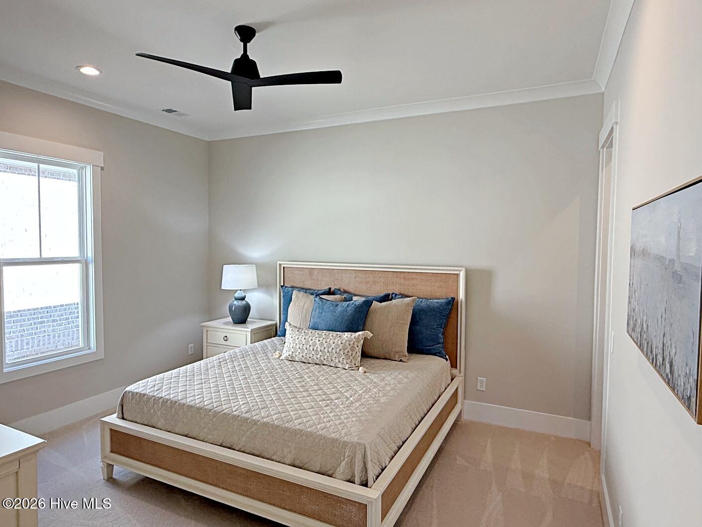 100553338 | Photo 35