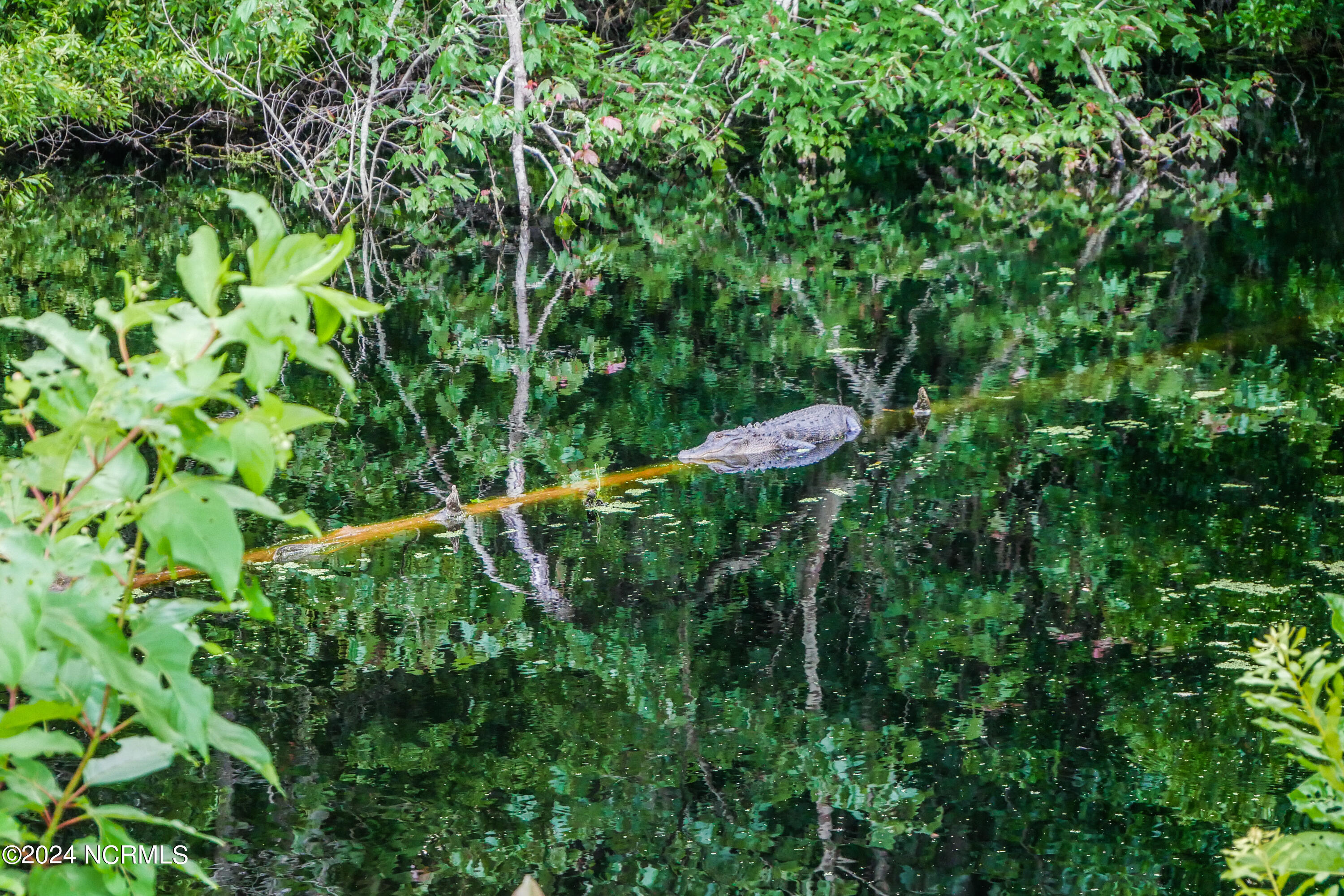 100558799 | Photo 47