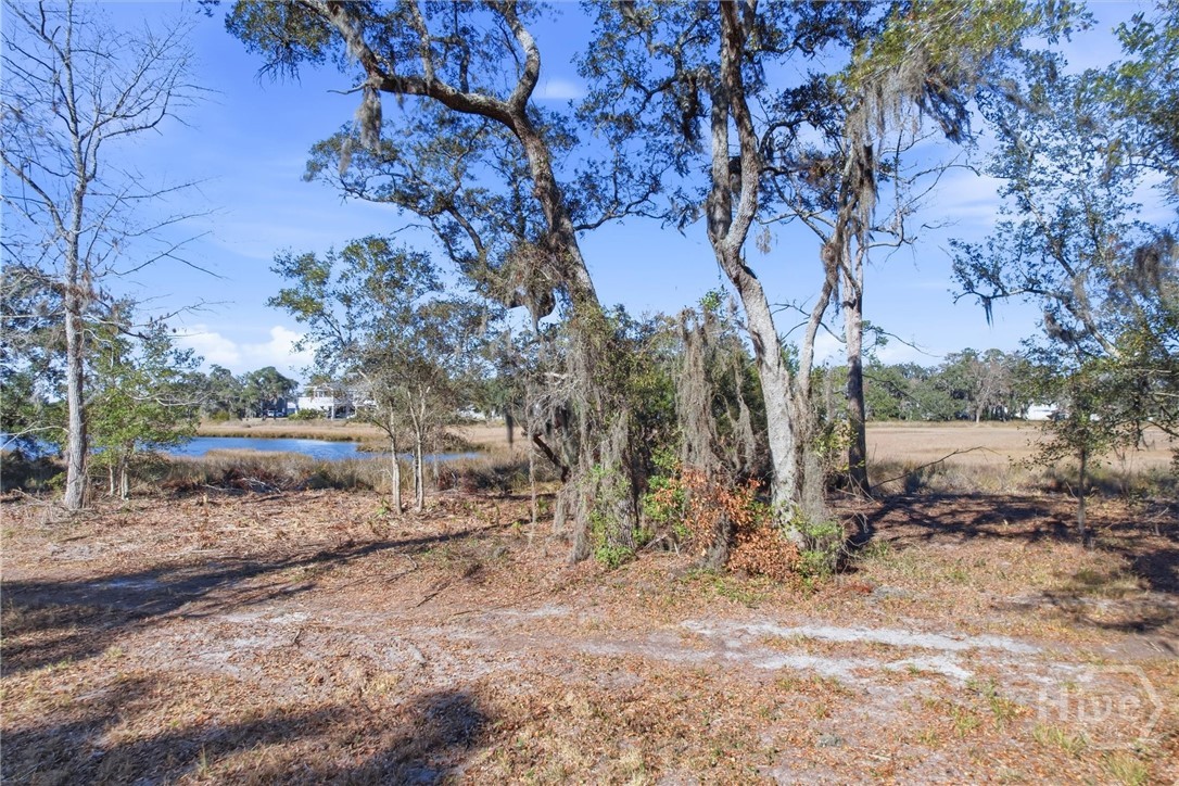 Homes for sale in Midway, GA | Lot 5 Bermuda Bluff Ln, Midway, GA 31320 | MLS# SA348422