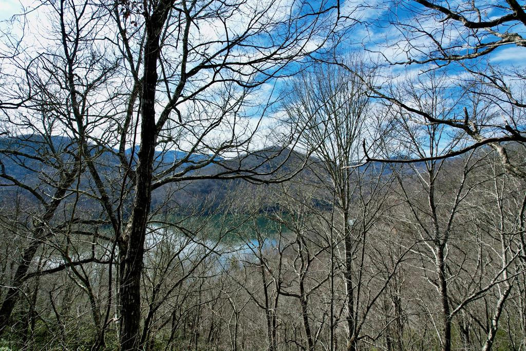 Homes for sale in Nantahala, NC | Lot 14 Holly Ridge Rd, Nantahala, NC 28781 | MLS# 98500220