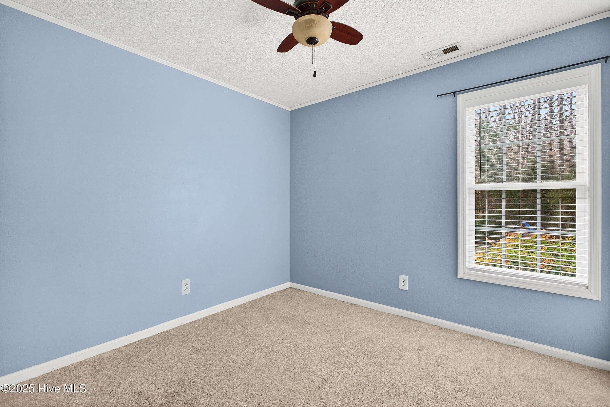 100547109 | Photo 17